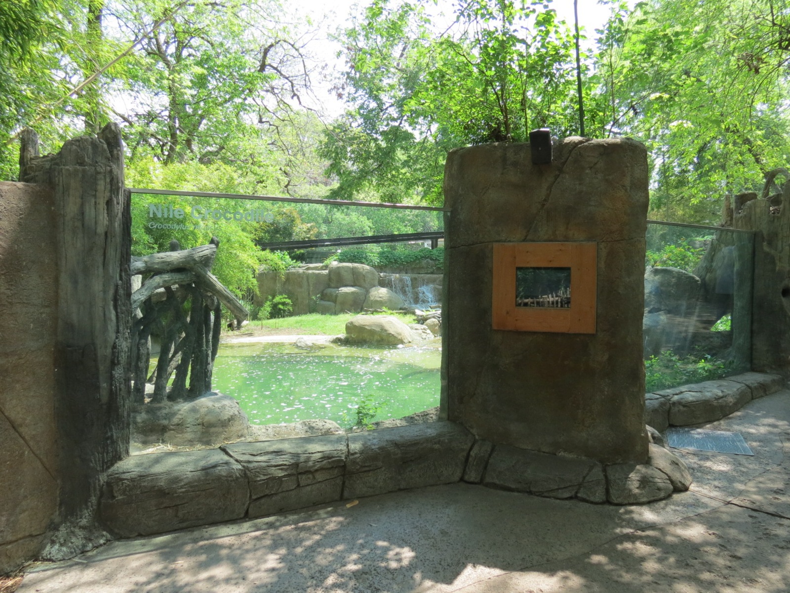 Wilds of Africa - Gorilla Trail - Nile Crocodile Exhibit