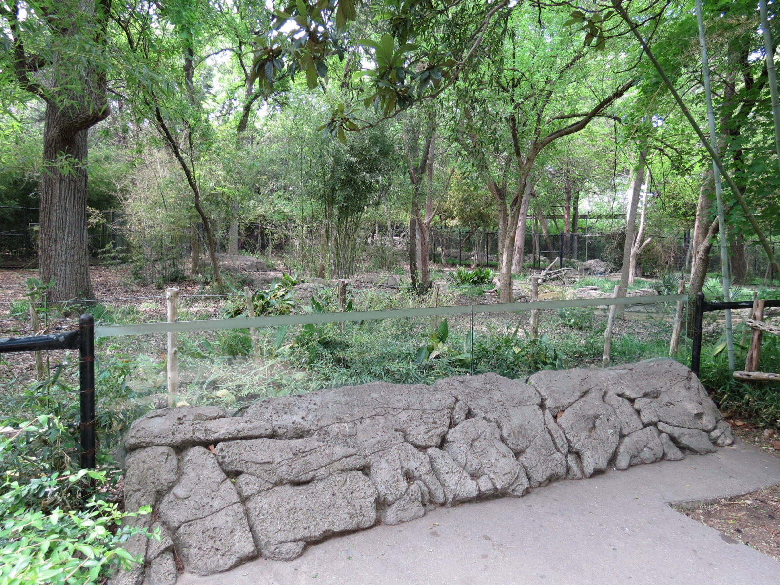 Wilds of Africa - Gorilla Trail - Okapi Exhibit