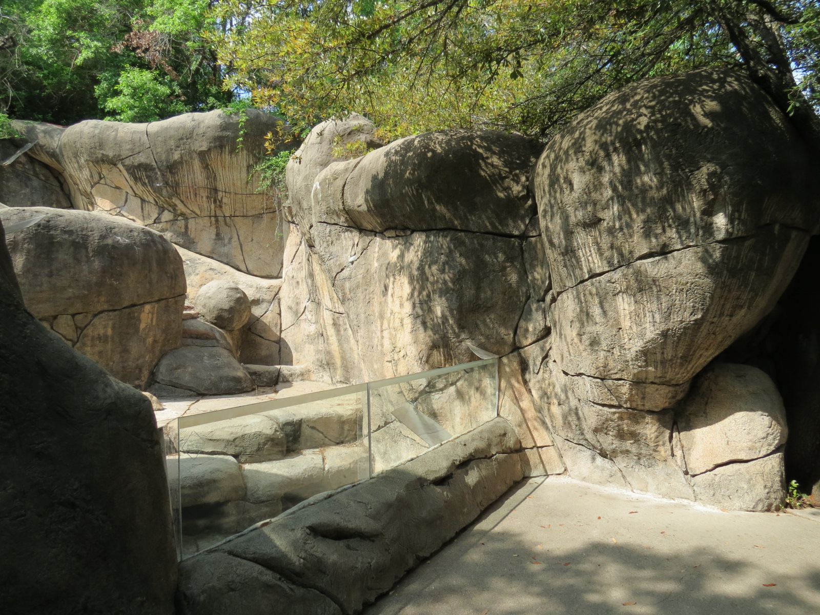 Wilds of Africa - Gorilla Trail - Rock Hyrax and Klipspringer Exhibit