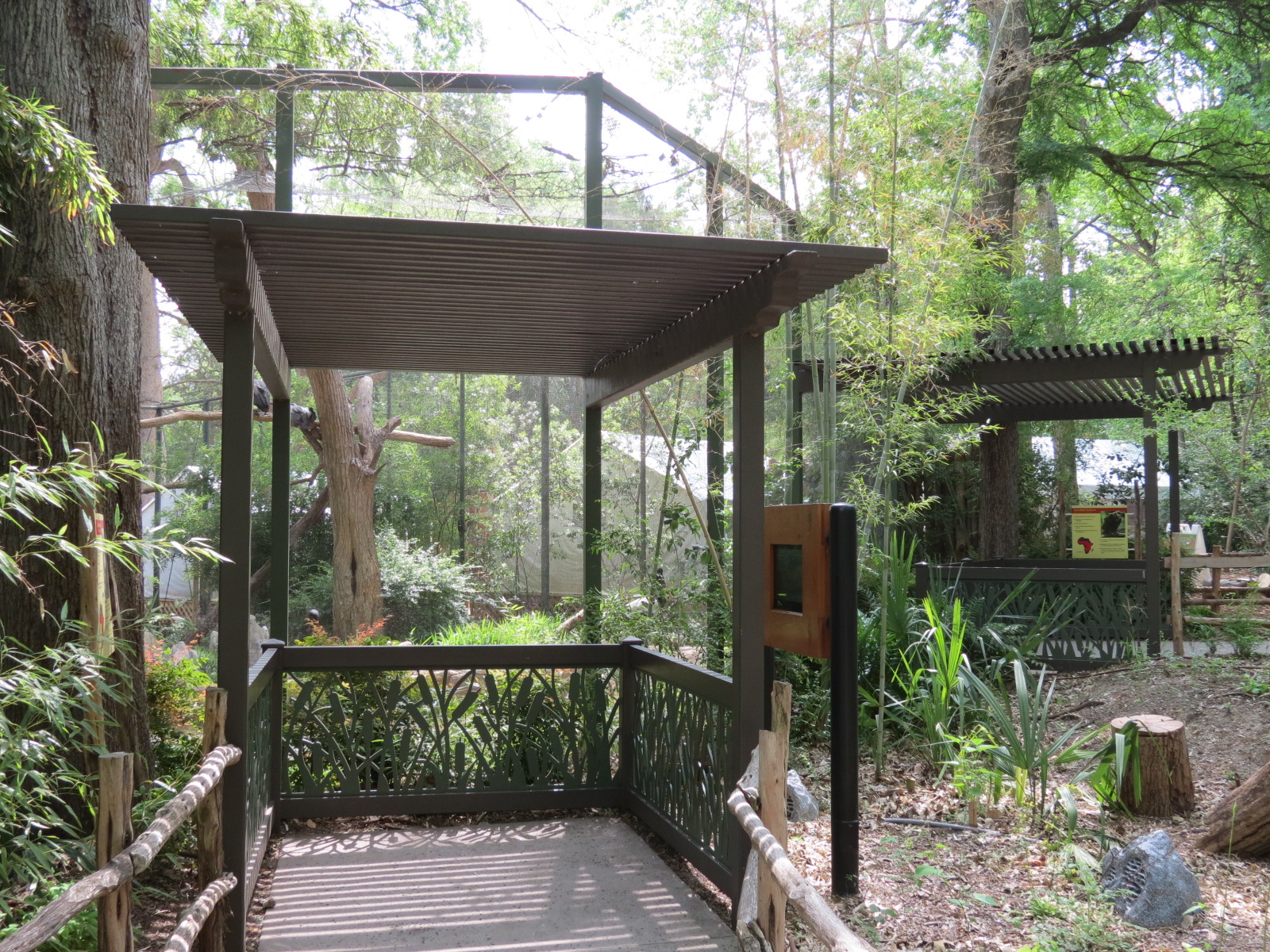 Wilds of Africa - Gorilla Trail - Saddle-billed Stork and Hooded Vulture Ex