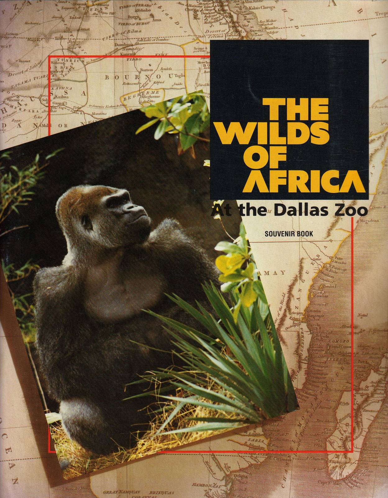 Wilds of Africa Guidebook