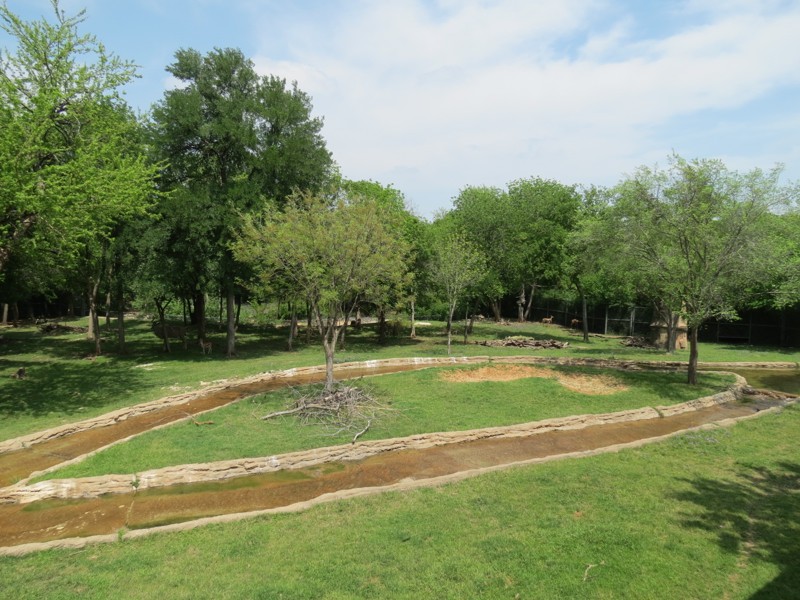 Wilds of Africa - Monorail Safari - Bush Exhibit for Antelope and Birds