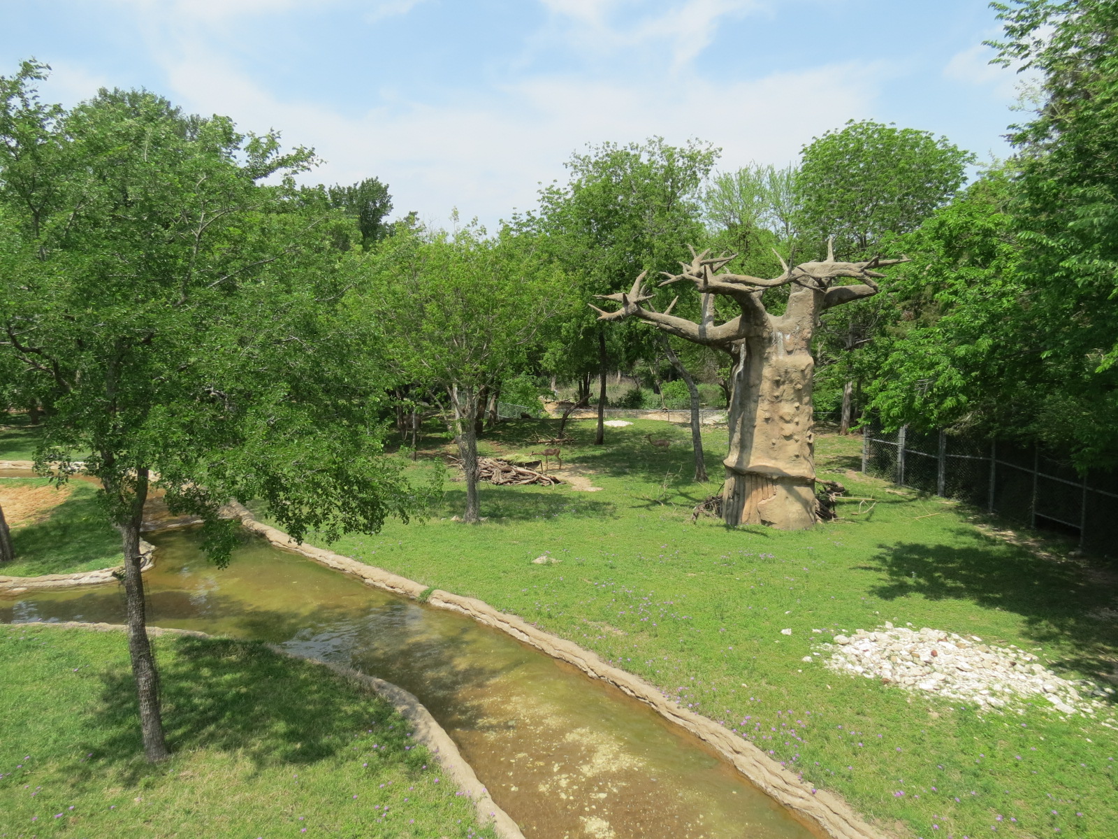 Wilds of Africa - Monorail Safari - Bush Exhibit for Antelope and Birds