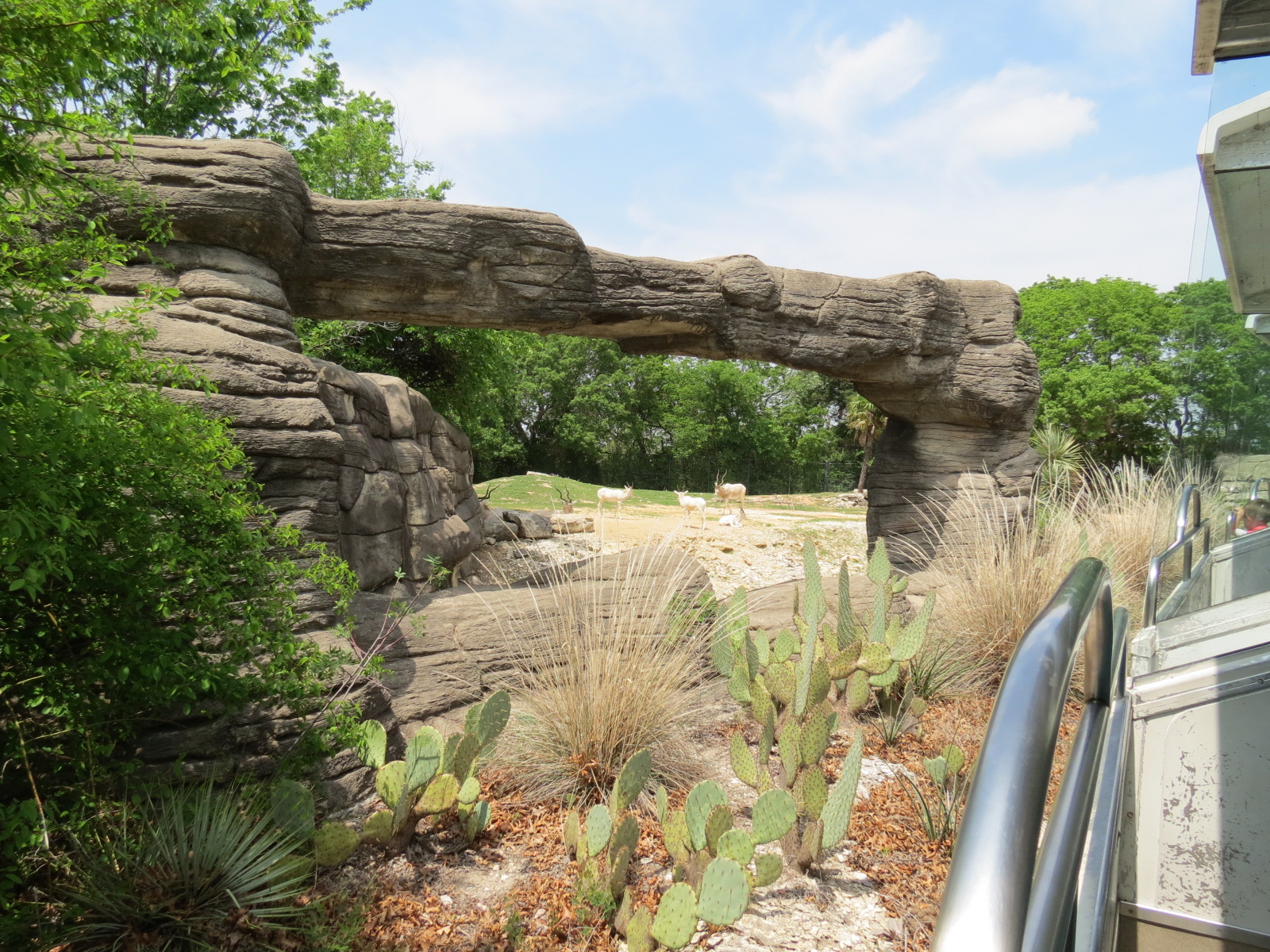 Wilds of Africa - Monorail Safari - Desert Exhibit for Addax