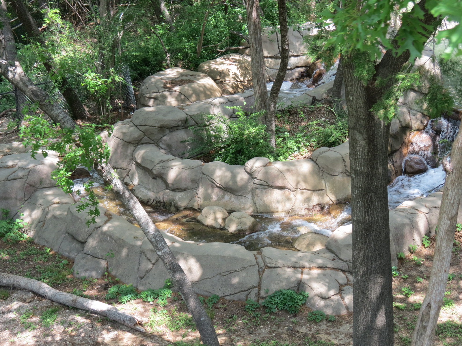 Wilds of Africa - Monorail Safari - Future Warthog Exhibit