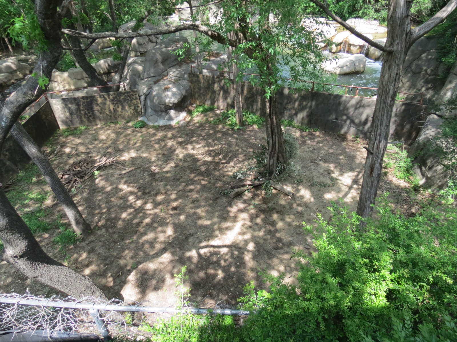 Wilds of Africa - Monorail Safari - Future Warthog Exhibit