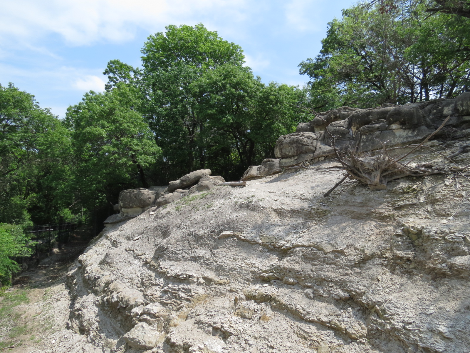 Wilds of Africa - Monorail Safari - Mountain Exhibit for Nubian Ibex