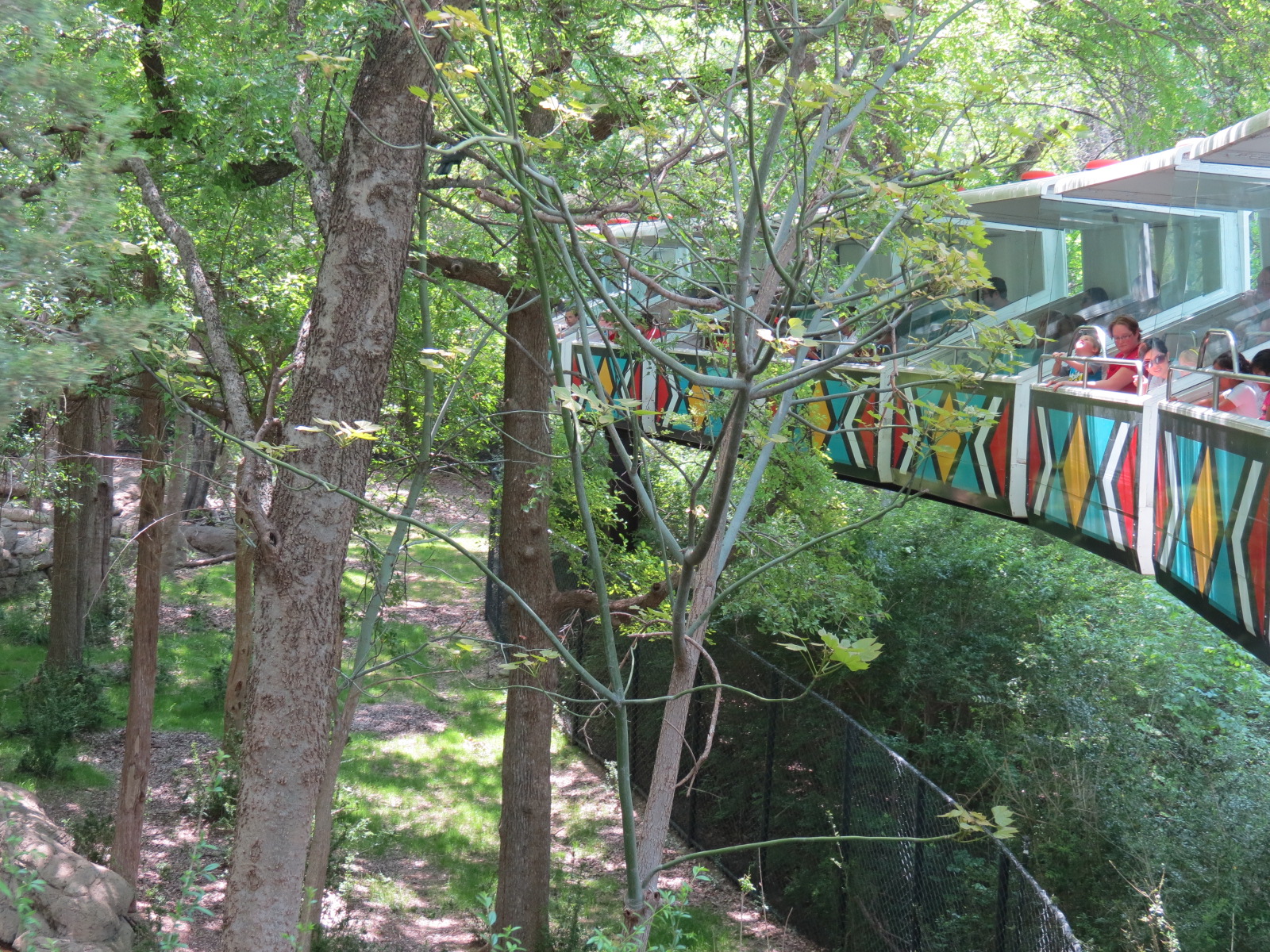 Wilds of Africa - Monorail Safari - Okapi Exhibit 2