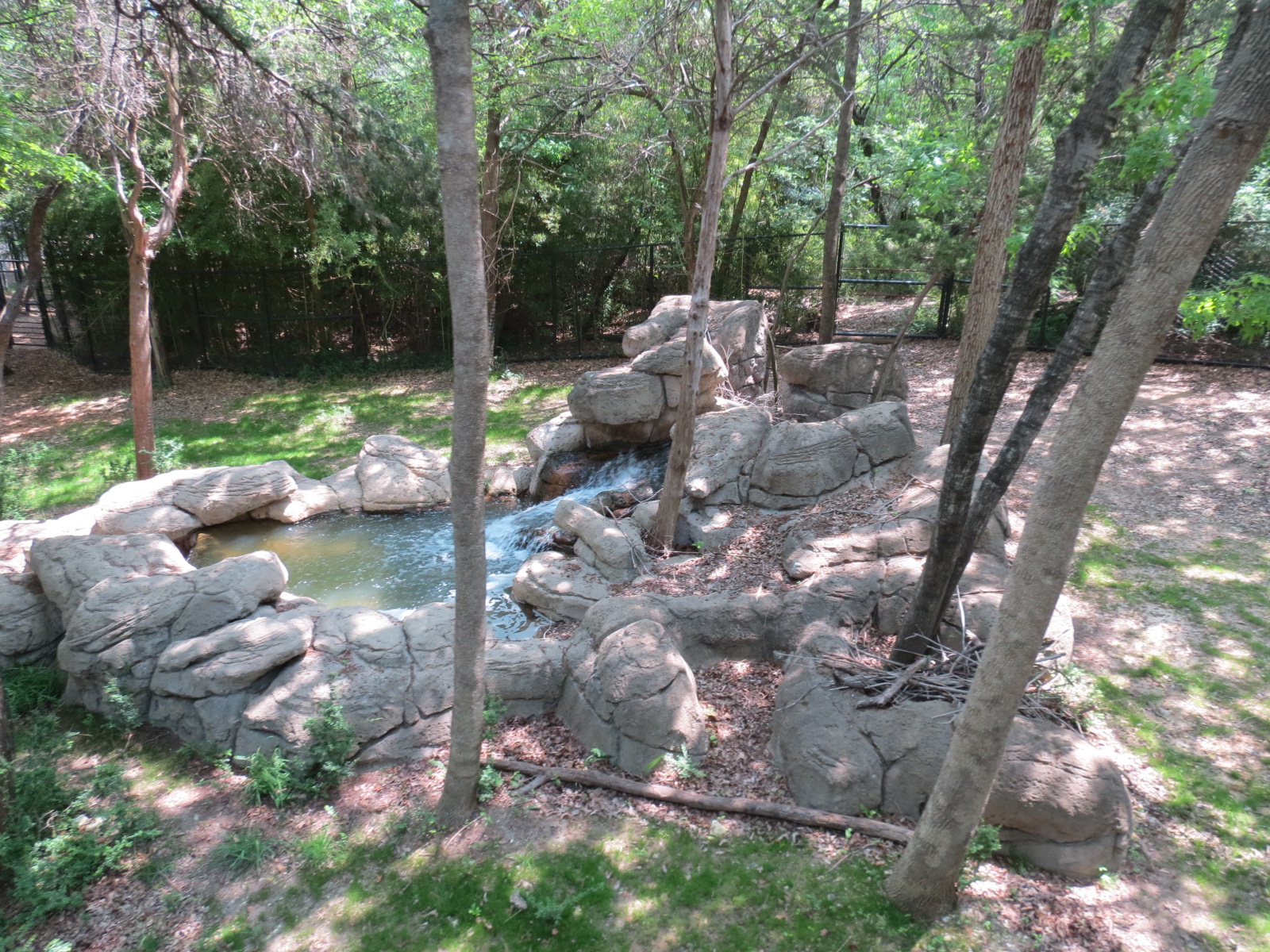 Wilds of Africa - Monorail Safari - Okapi Exhibit 2