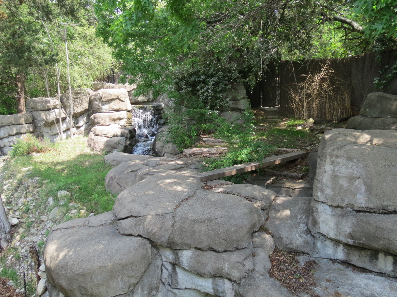 Wilds of Africa - Monorail Safari - Prey Exhibit for Dik-dik