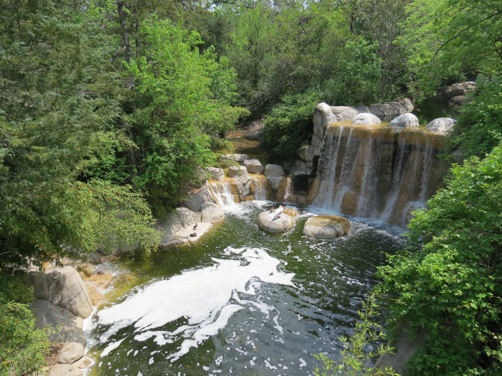 Wilds of Africa - Monorail Safari - River Exhibit for Waterbuck and Birds
