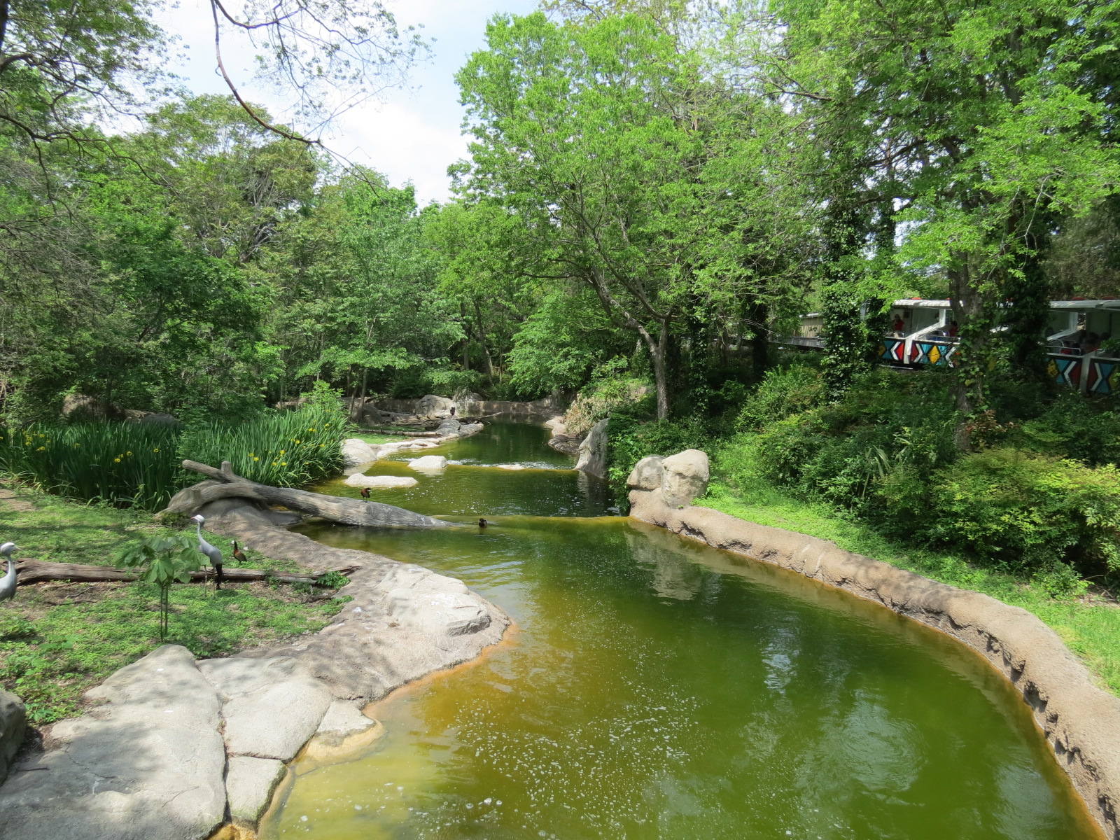 Wilds of Africa - Monorail Safari - River Exhibit for Waterbuck and Birds