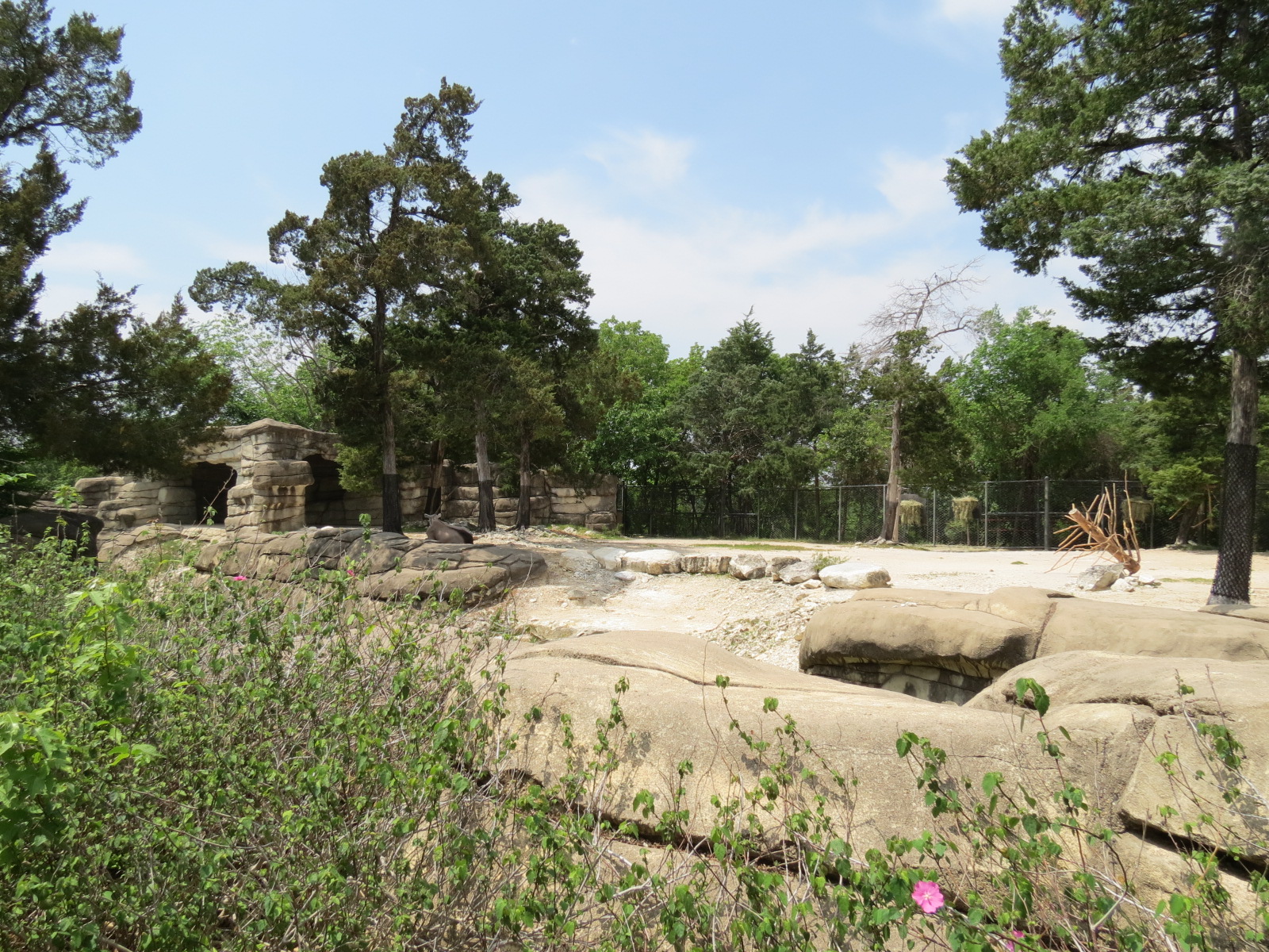 Wilds of Africa - Monorail Safari - Semi-arid Desert Exhibit for Gemsbok, A