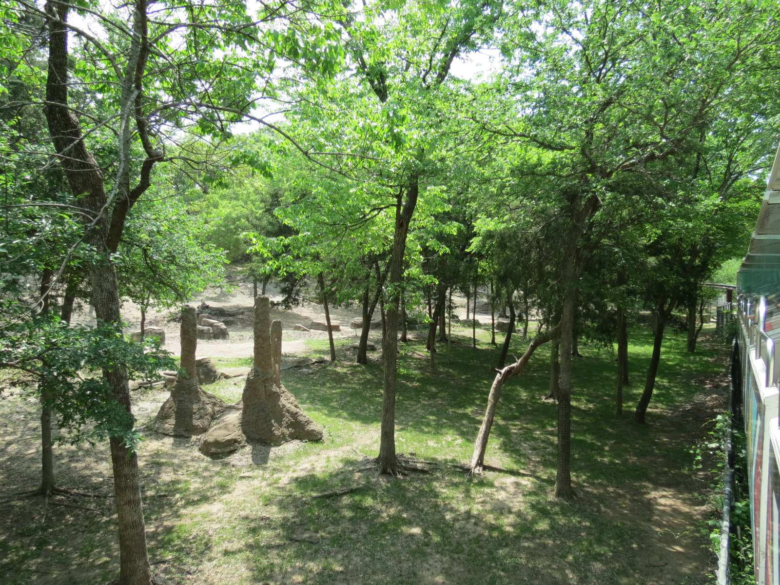 Wilds of Africa - Monorail Safari - Woodland Exhibit for Grevys Zebra