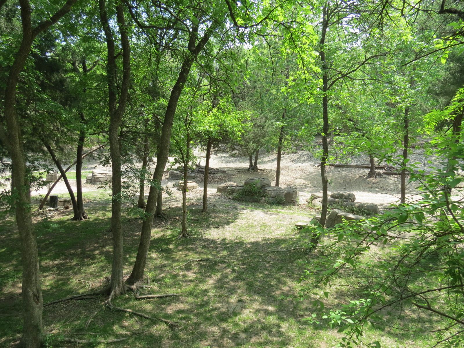 Wilds of Africa - Monorail Safari - Woodland Exhibit for Grevys Zebra