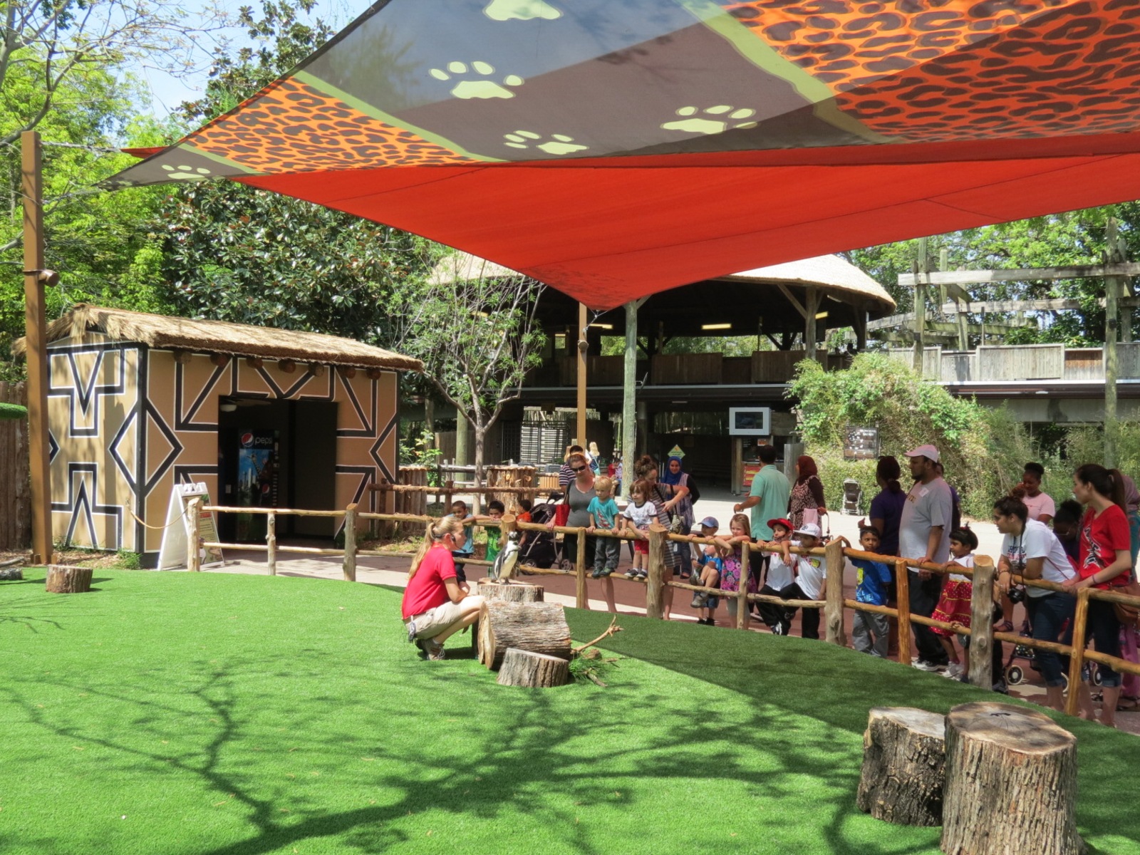 Wilds of Africa - Ndebele Plaza - Wild Encounters Stage