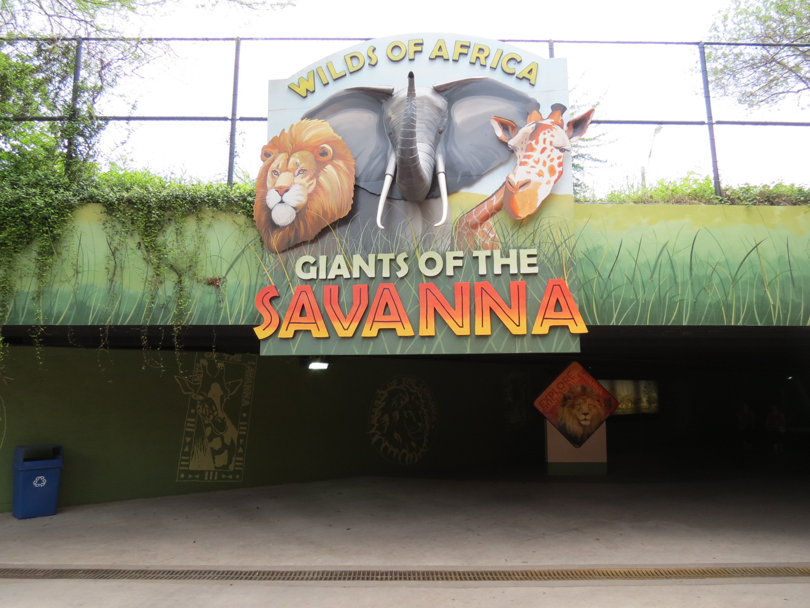 Wilds of Africa - Tunnel Entrance