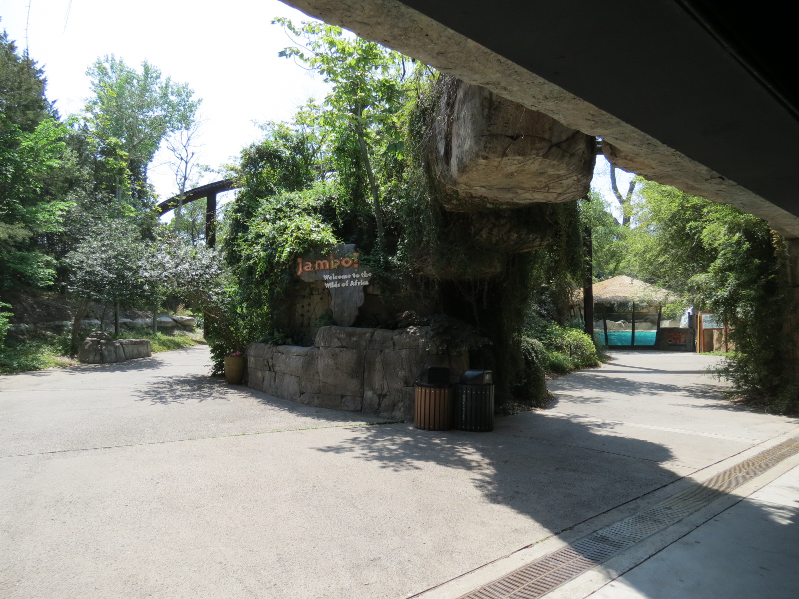 Wilds of Africa - Tunnel Exit