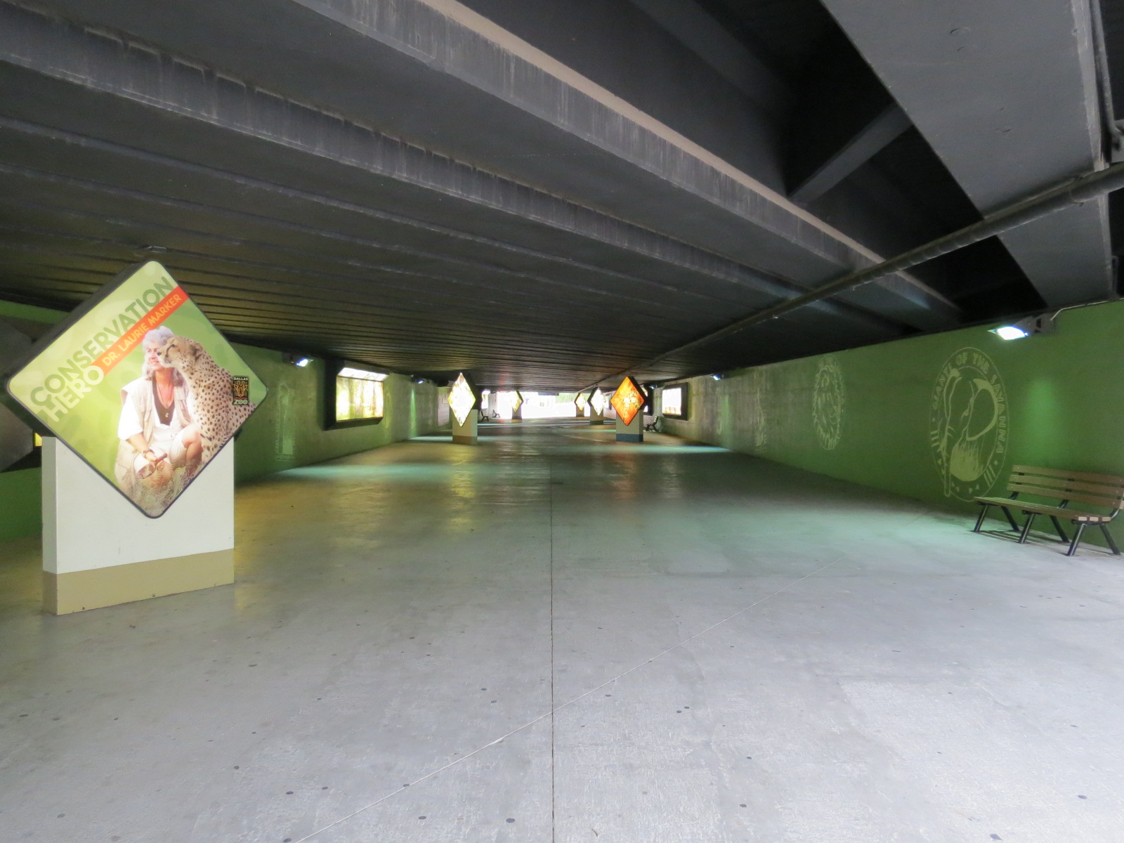 Wilds of Africa - Tunnel