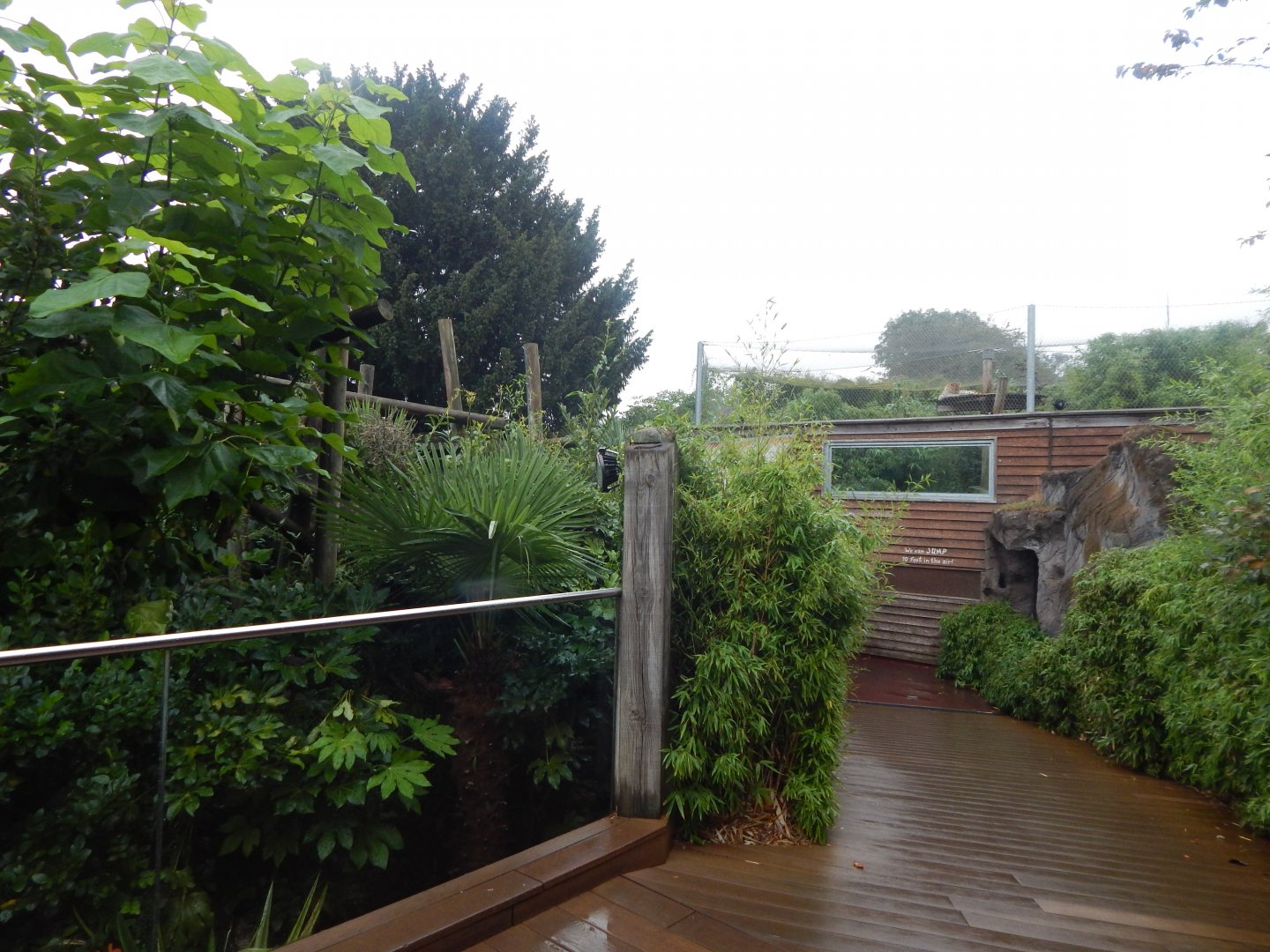 Wilds of Asia - Red panda exhibit 140921