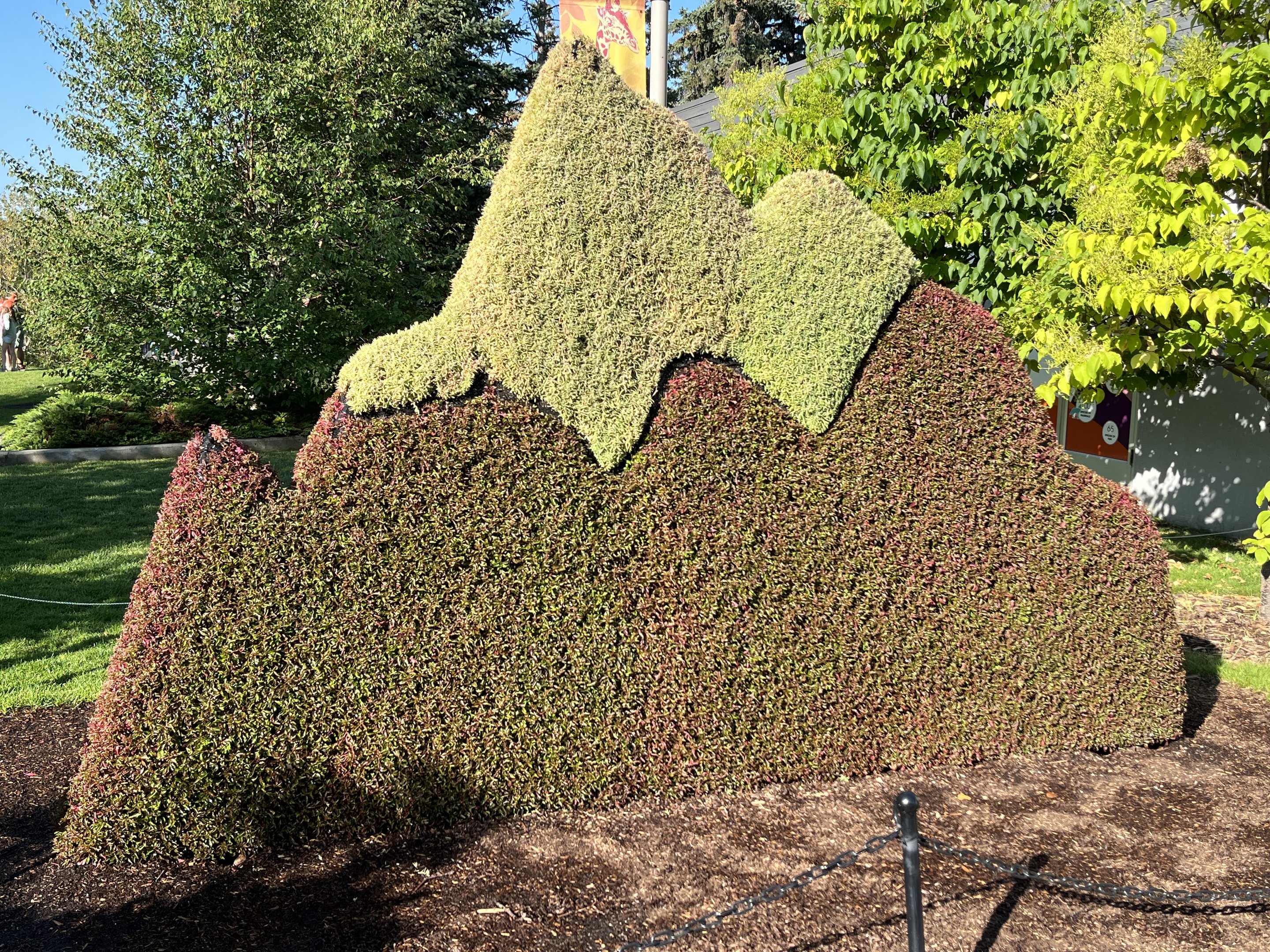 Wildscapes - Summer 2023 Display