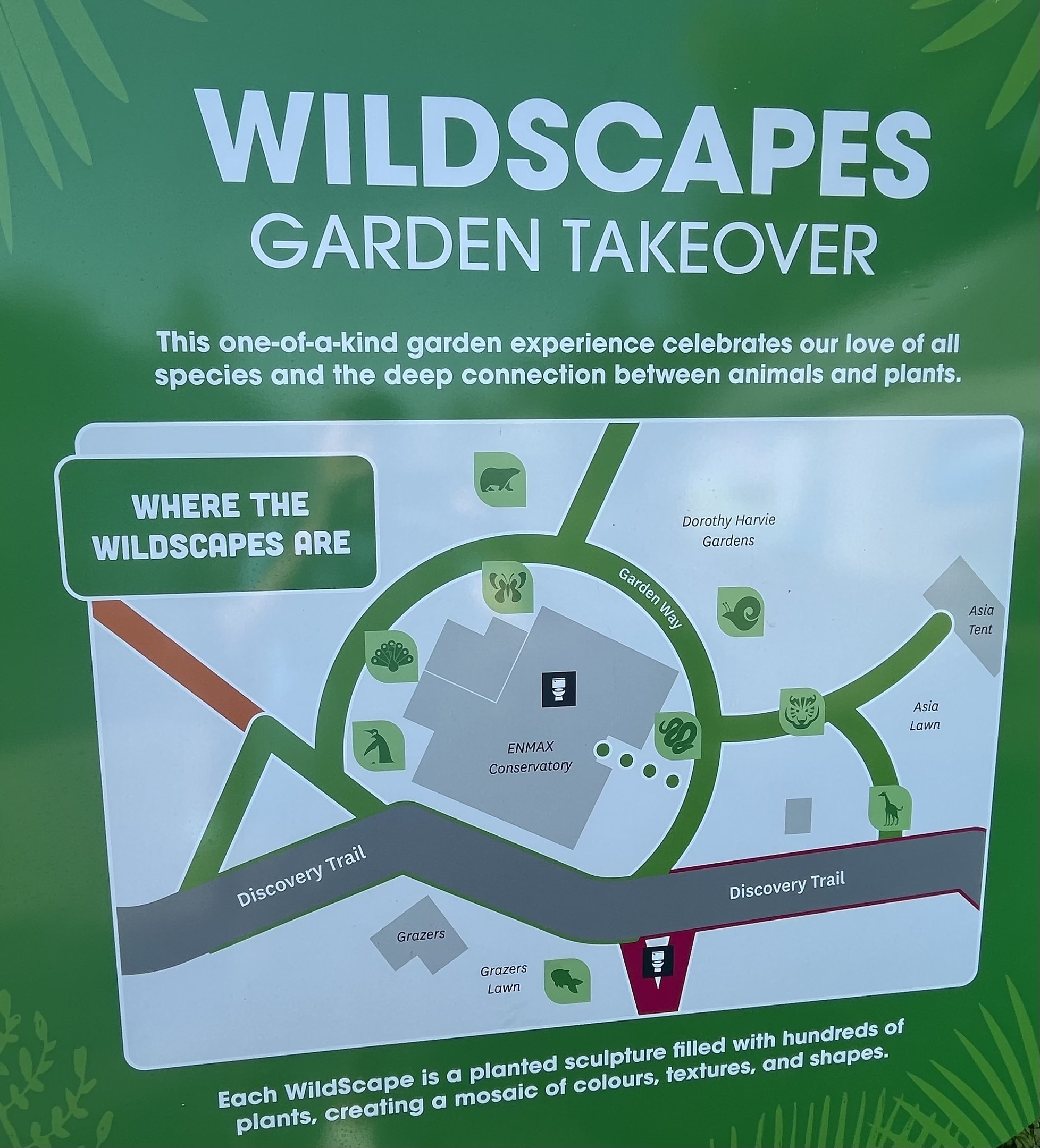 Wildscapes - Summer 2023 Display