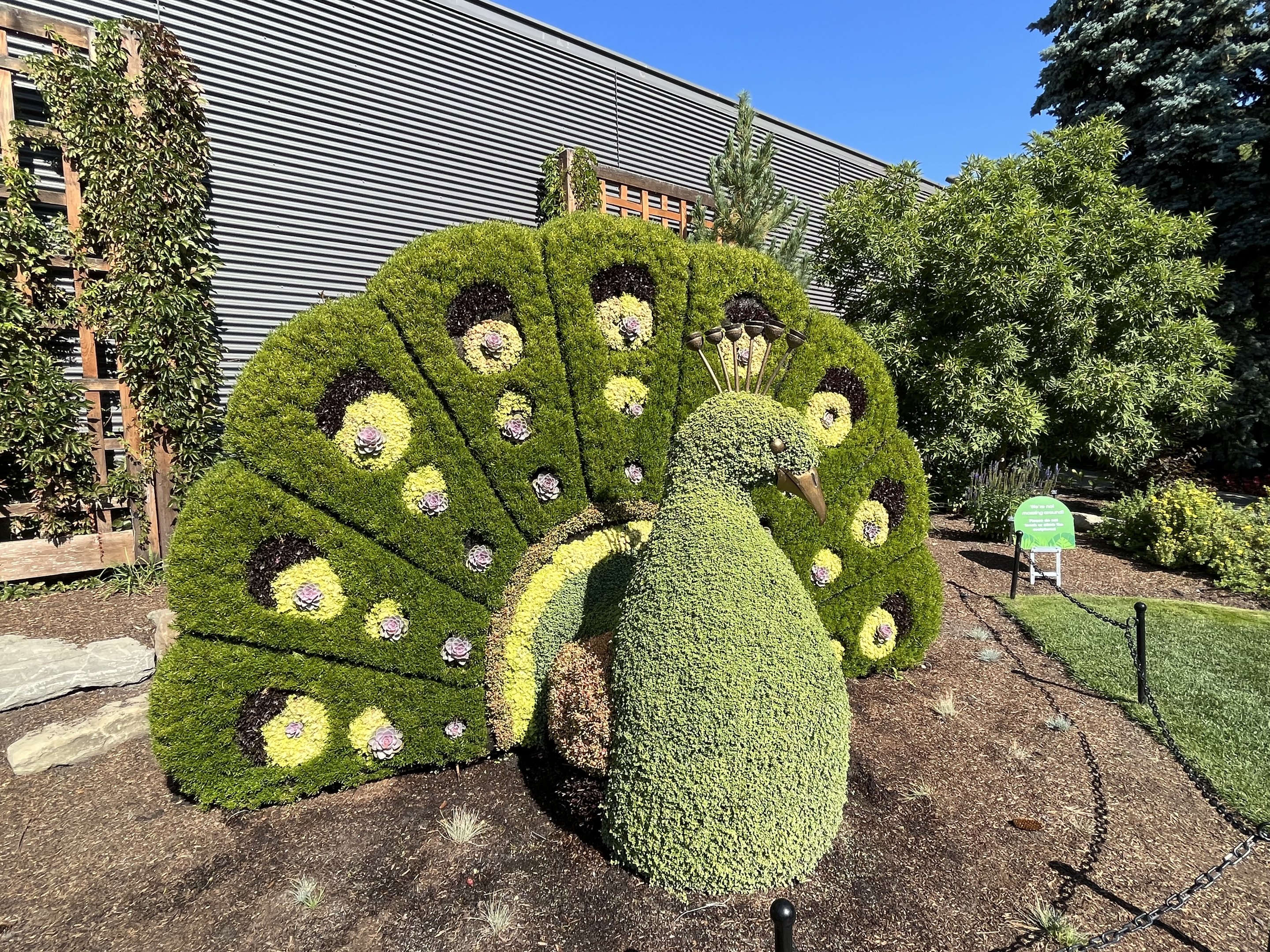 Wildscapes - Summer 2023 Display