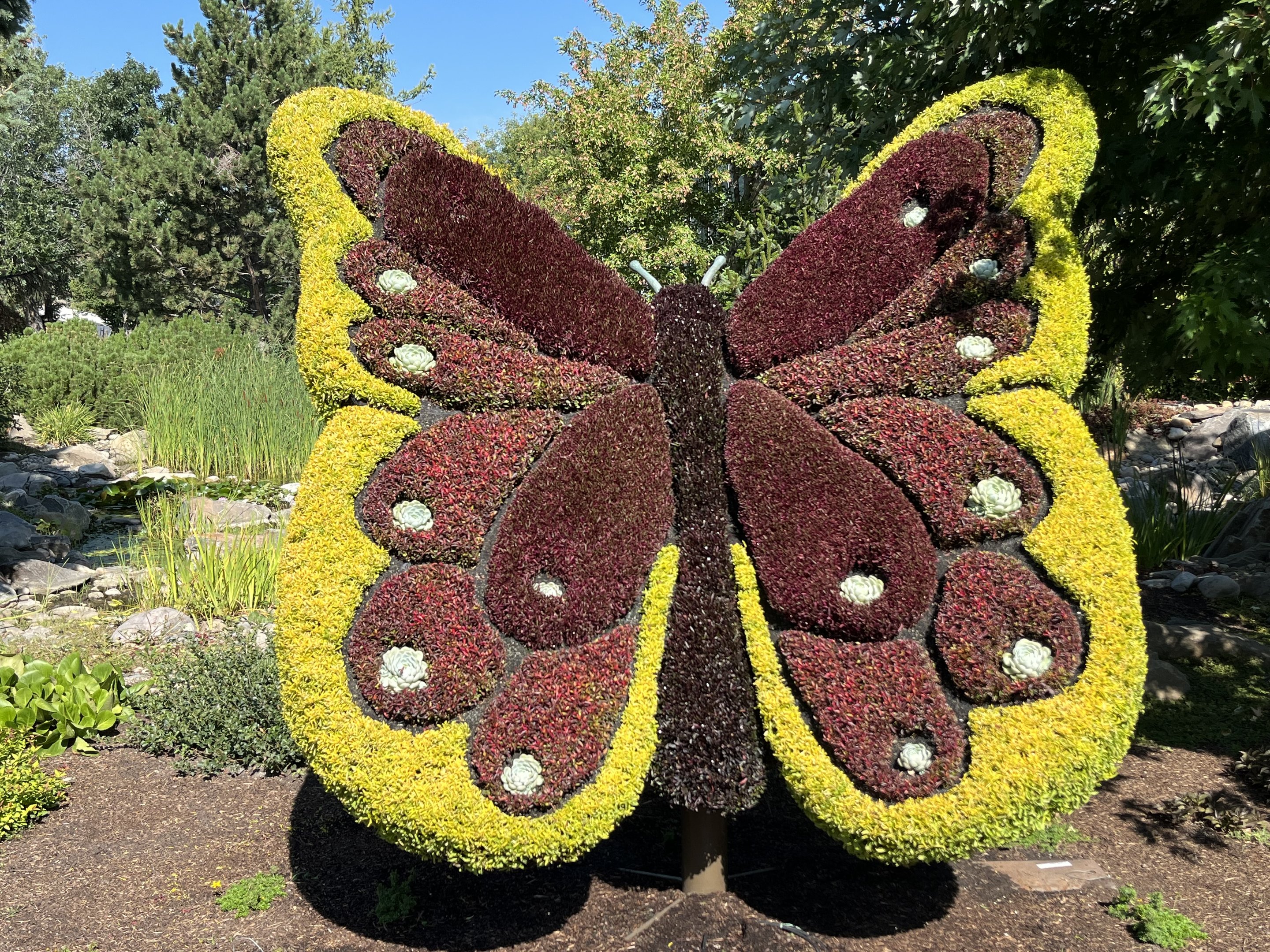 Wildscapes - Summer 2023 Display