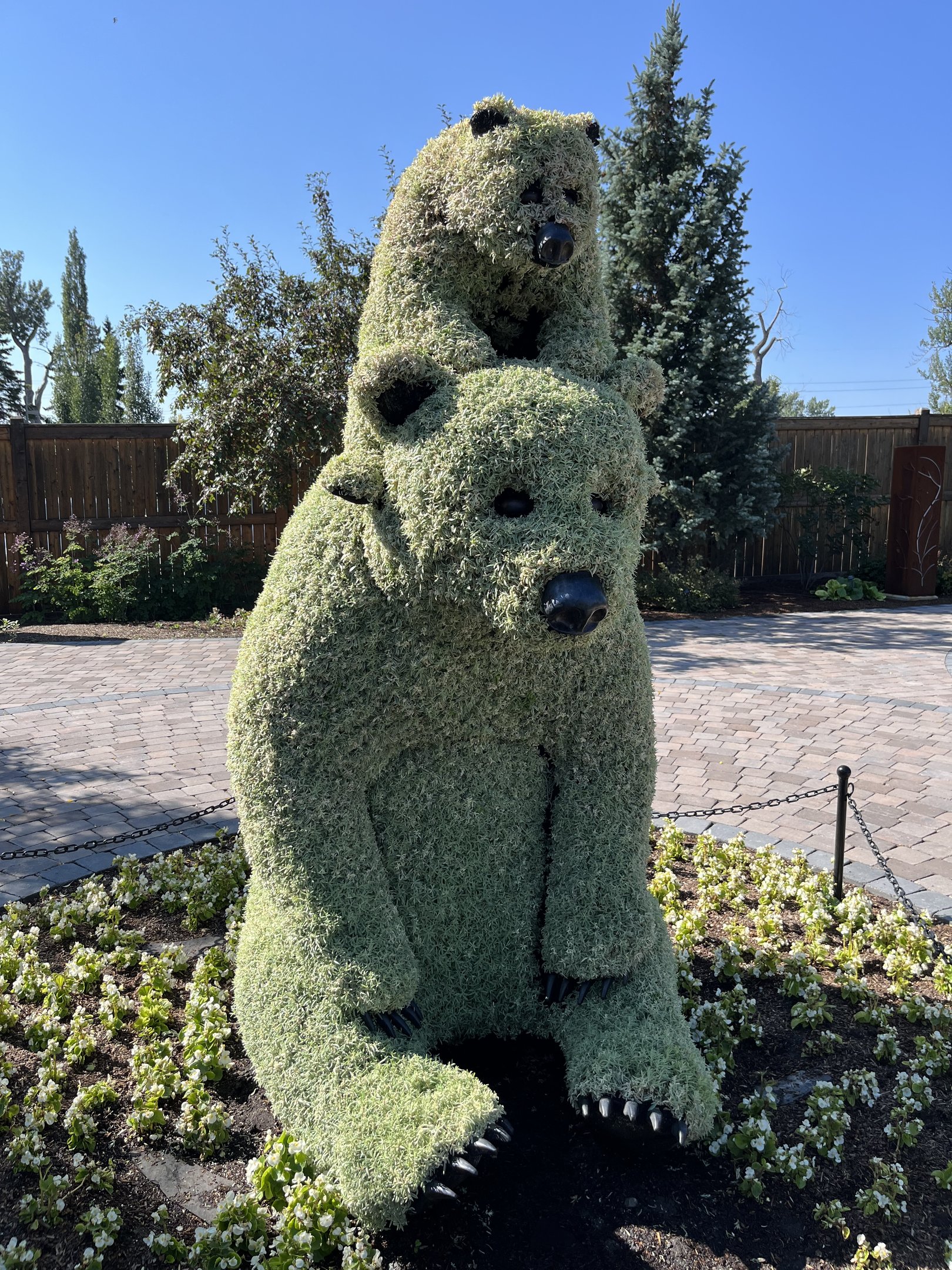 Wildscapes - Summer 2023 Display