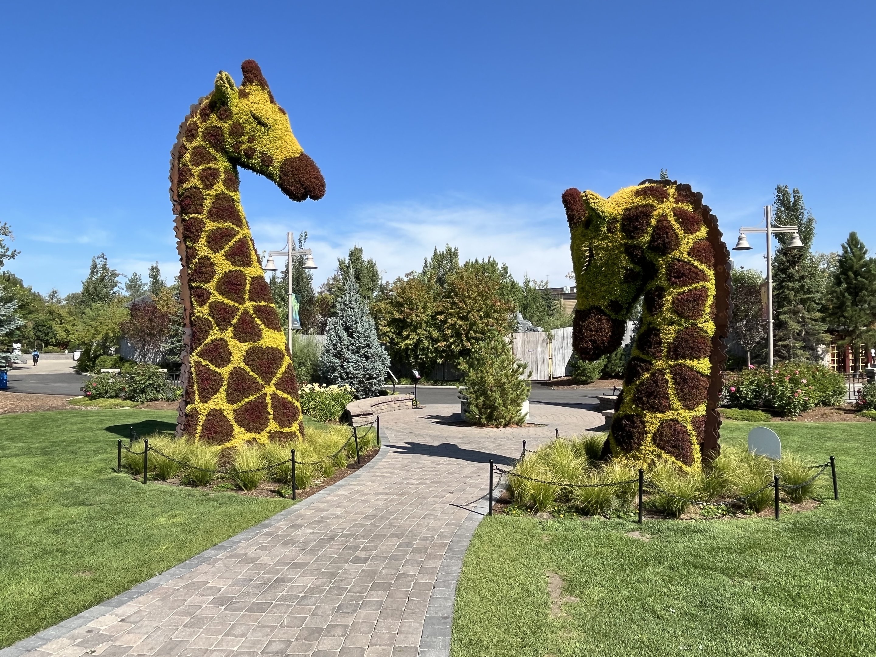 Wildscapes - Summer 2023 Display