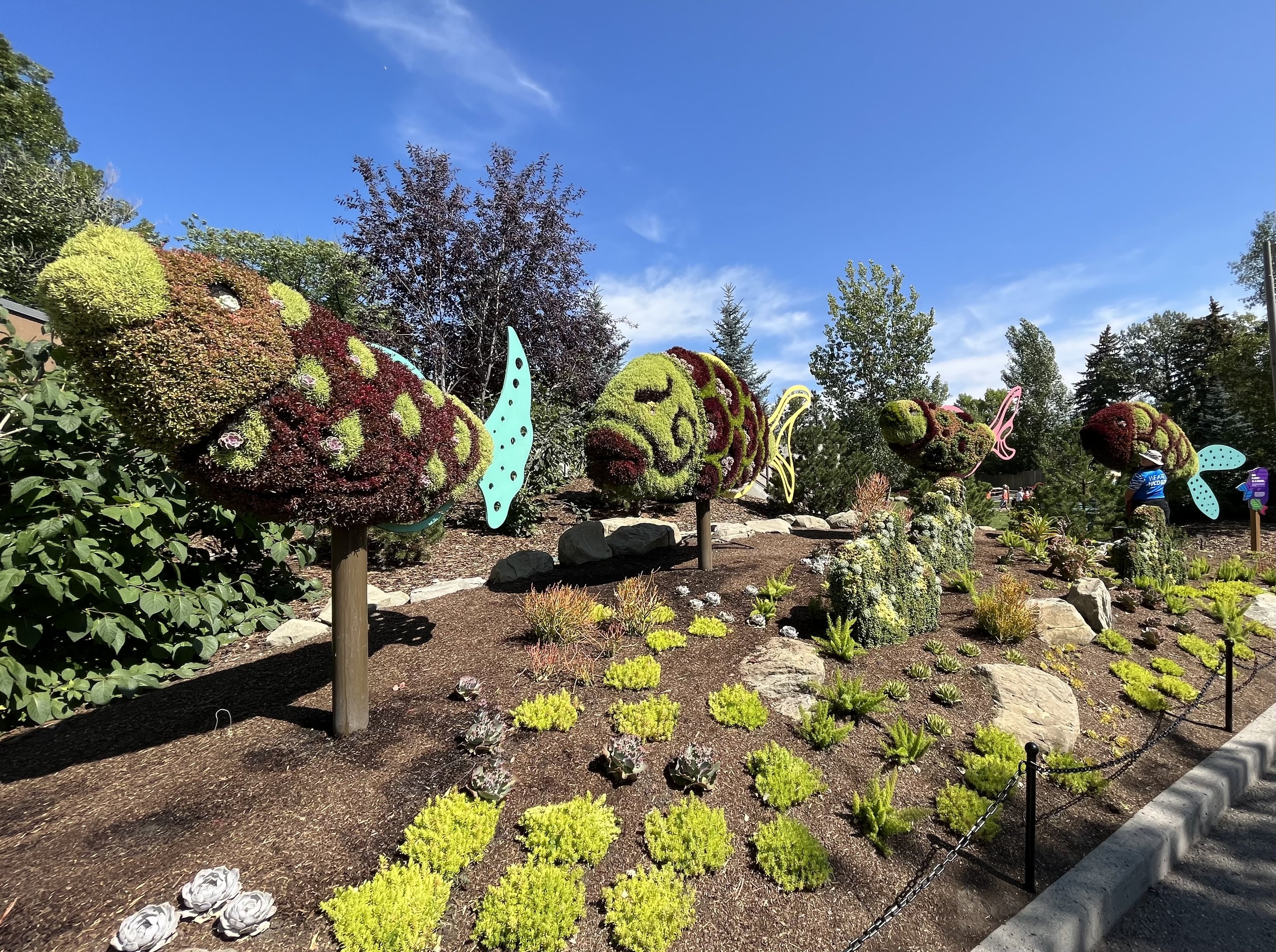 Wildscapes - Summer 2023 Display