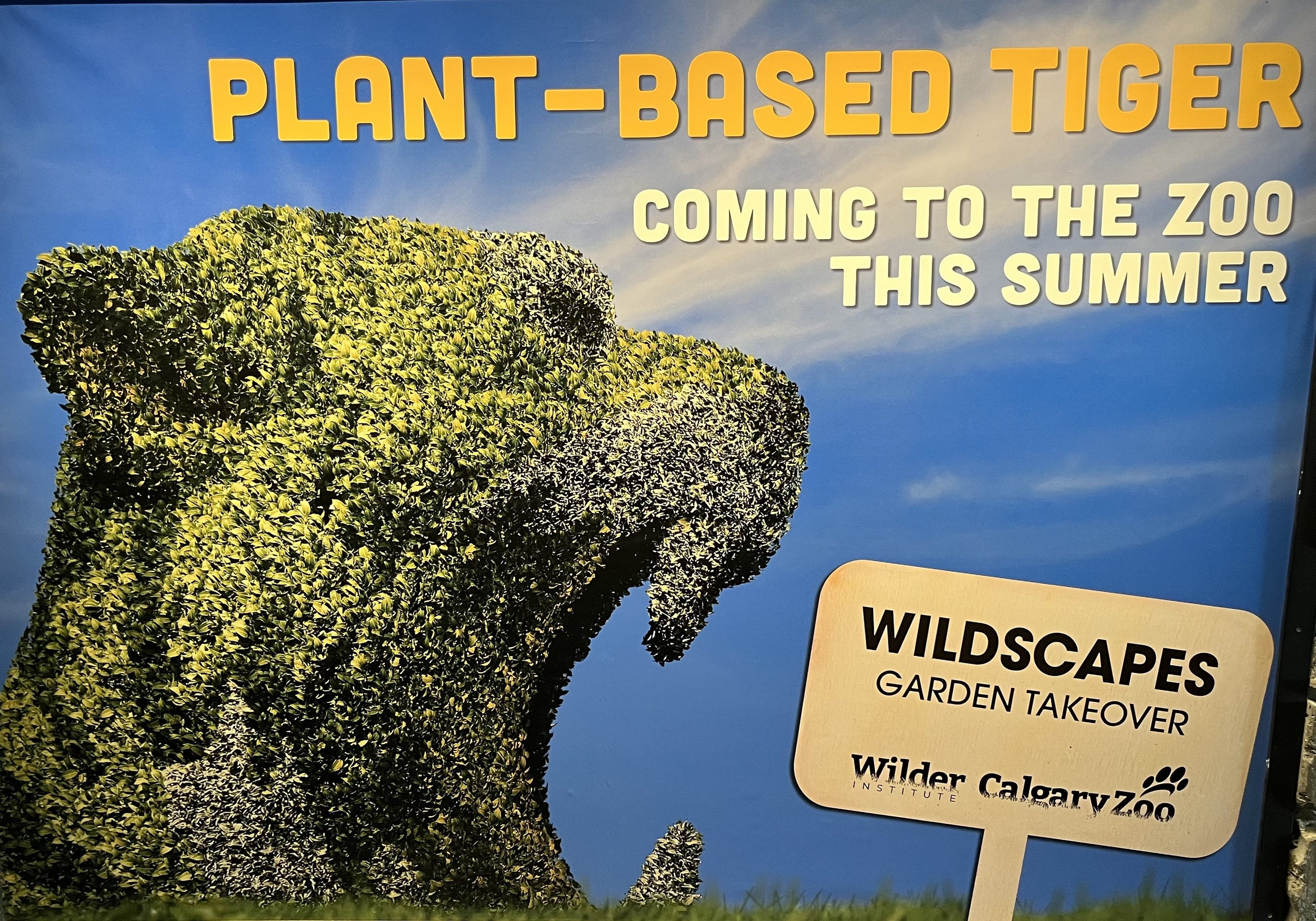 Wildscapes - Summer 2023 Display