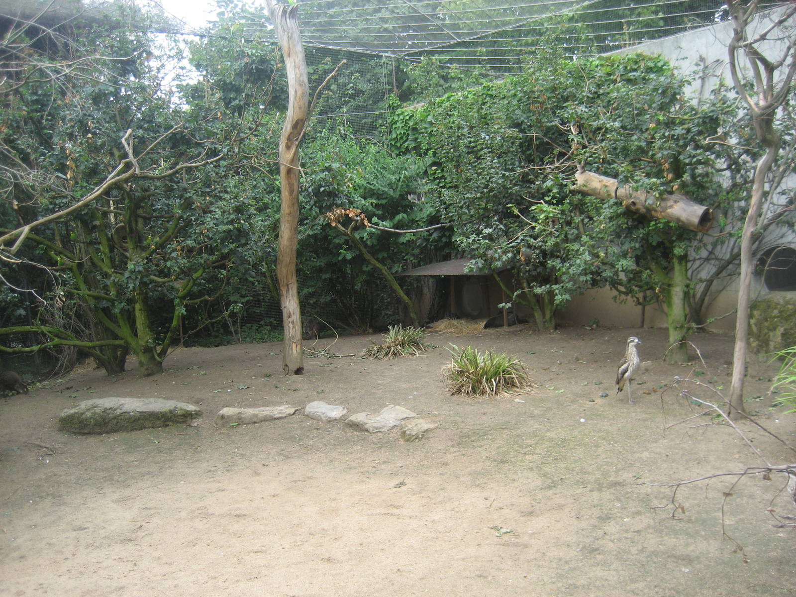 Wilhelma Zoo - Aviary