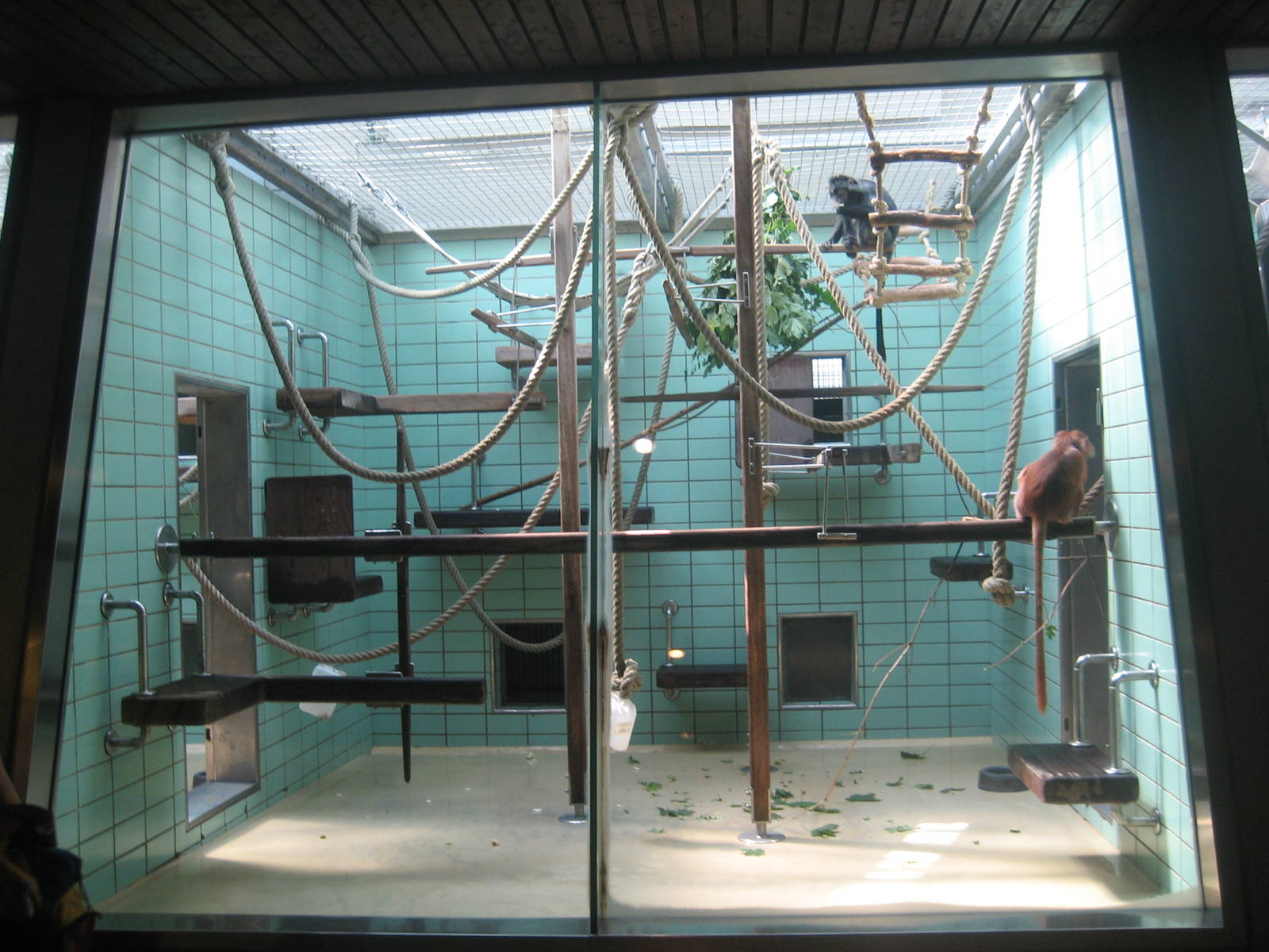 Wilhelma Zoo - Langur exhibit