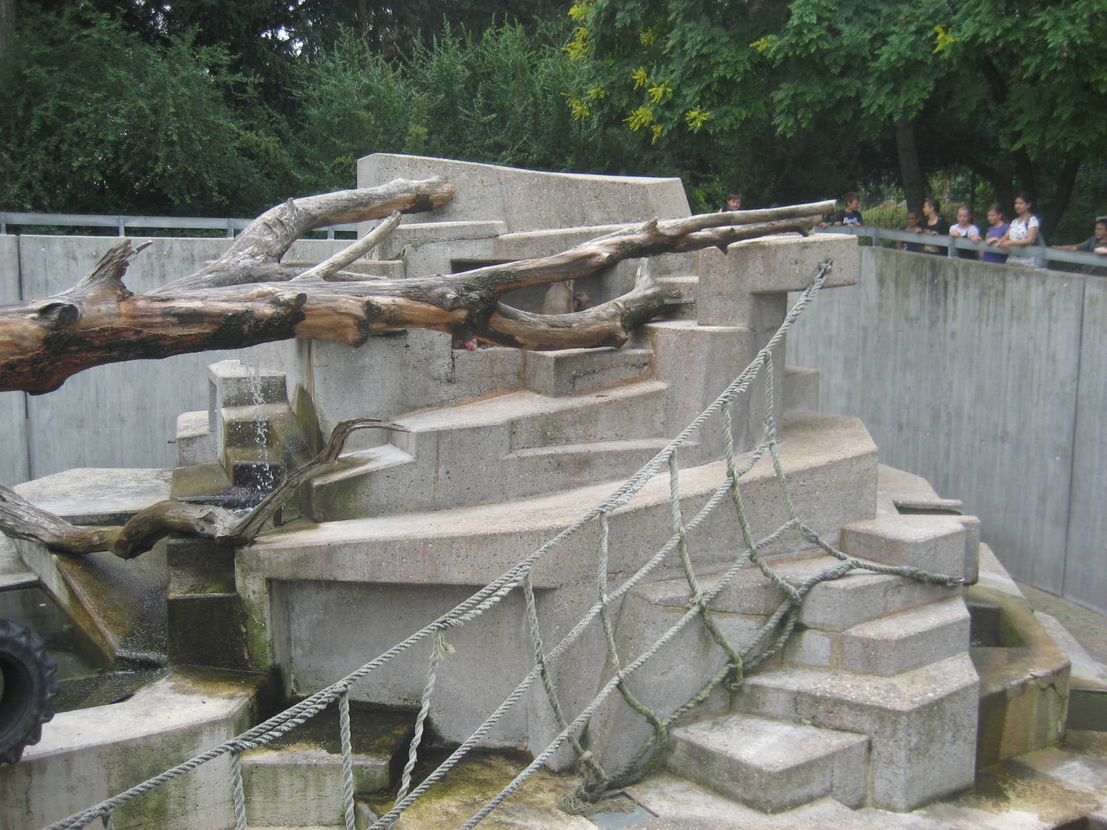 Wilhelma Zoo - Macaque exhibit