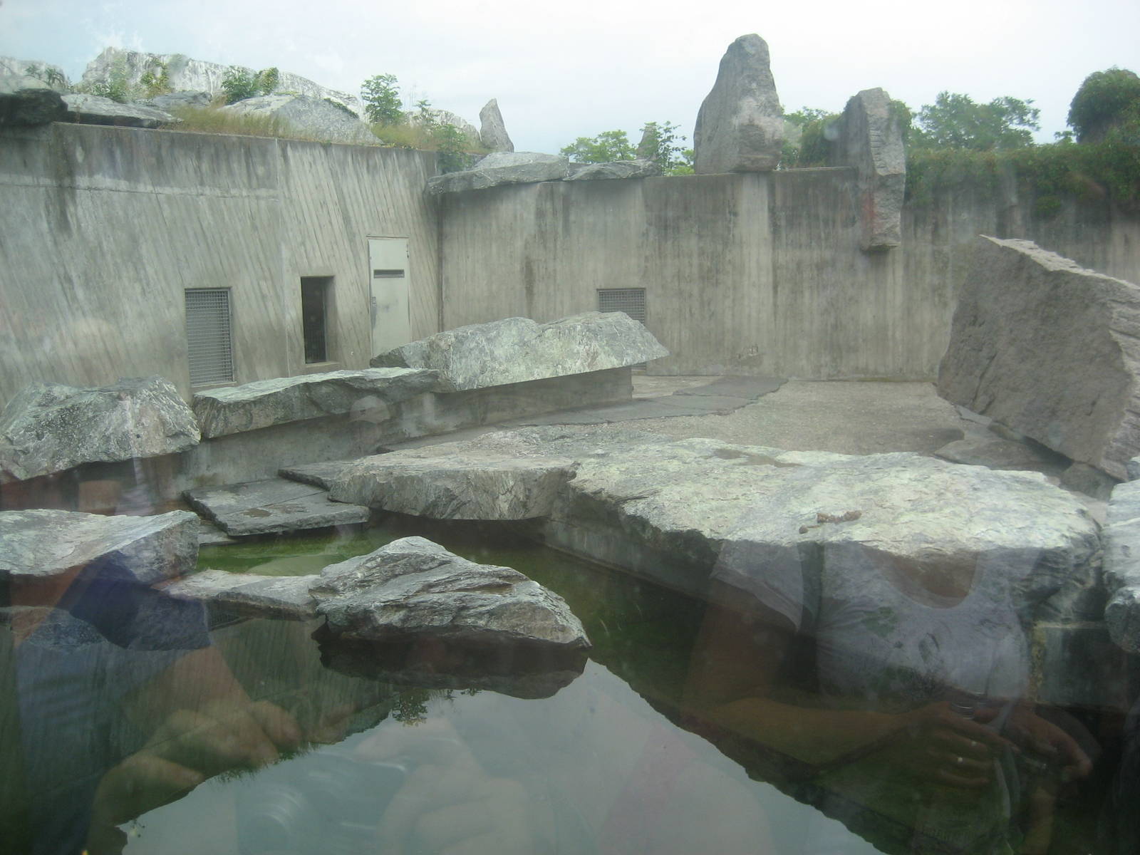Wilhelma Zoo - Polar bear exhibit
