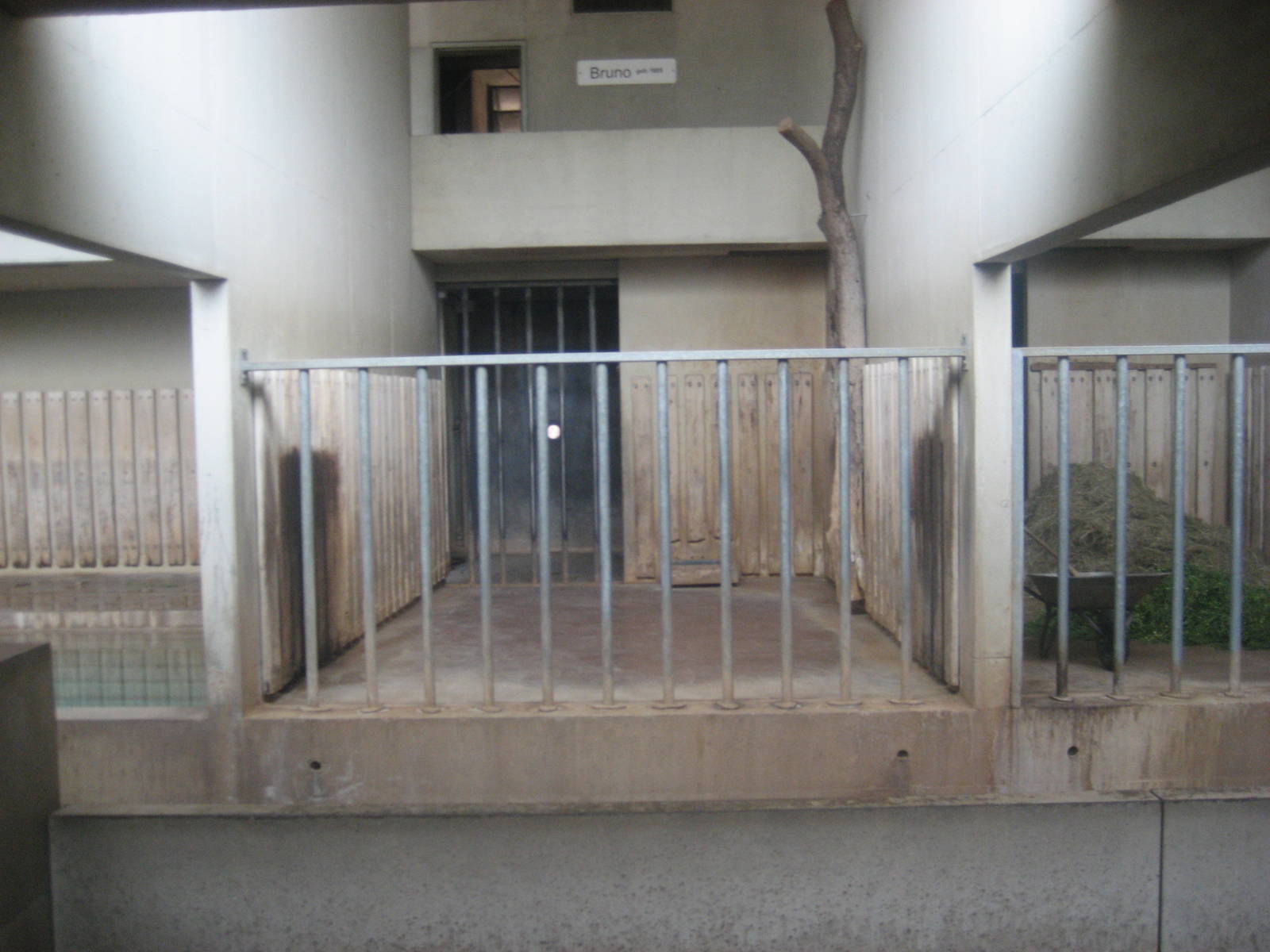 Wilhelma Zoo - Rhino indoor exhibit