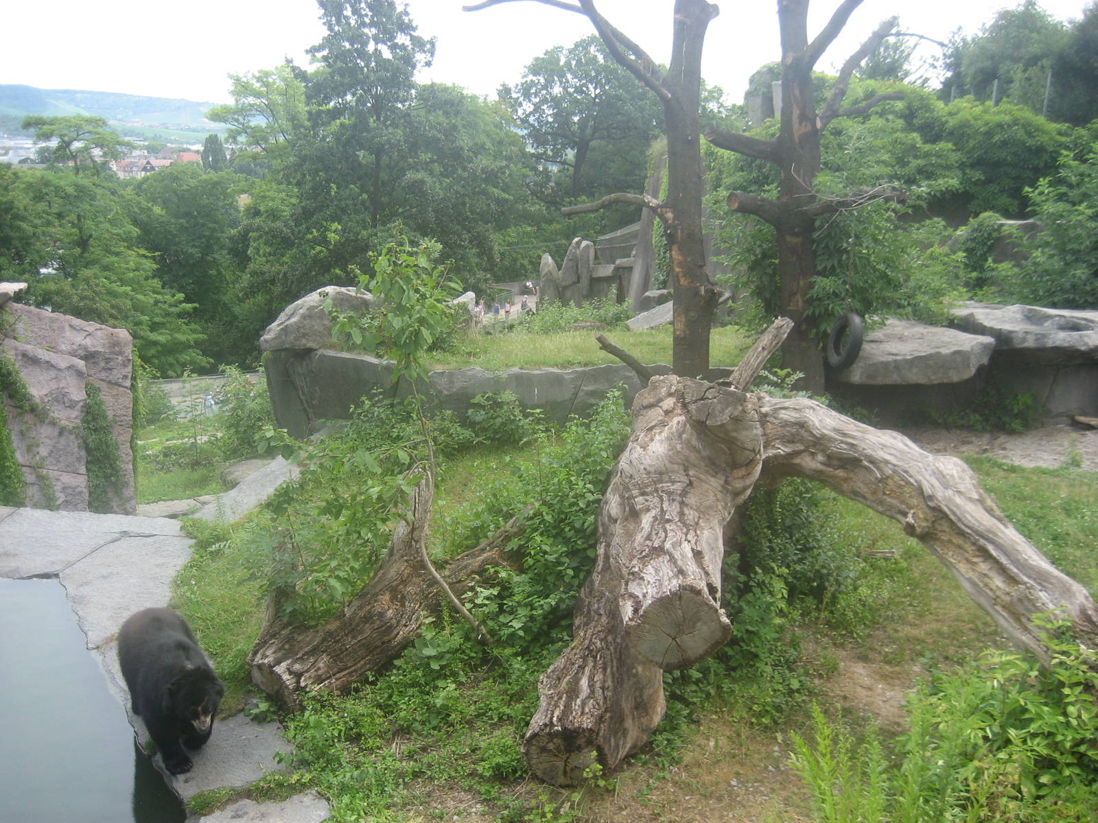 Wilhelma Zoo - Spectacled bear exhibit