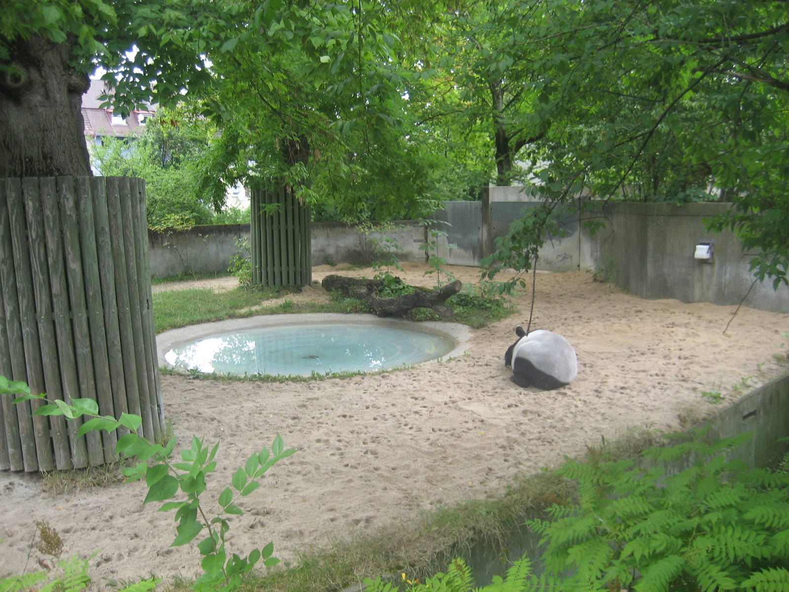 Wilhelma Zoo - Tapir exhibit