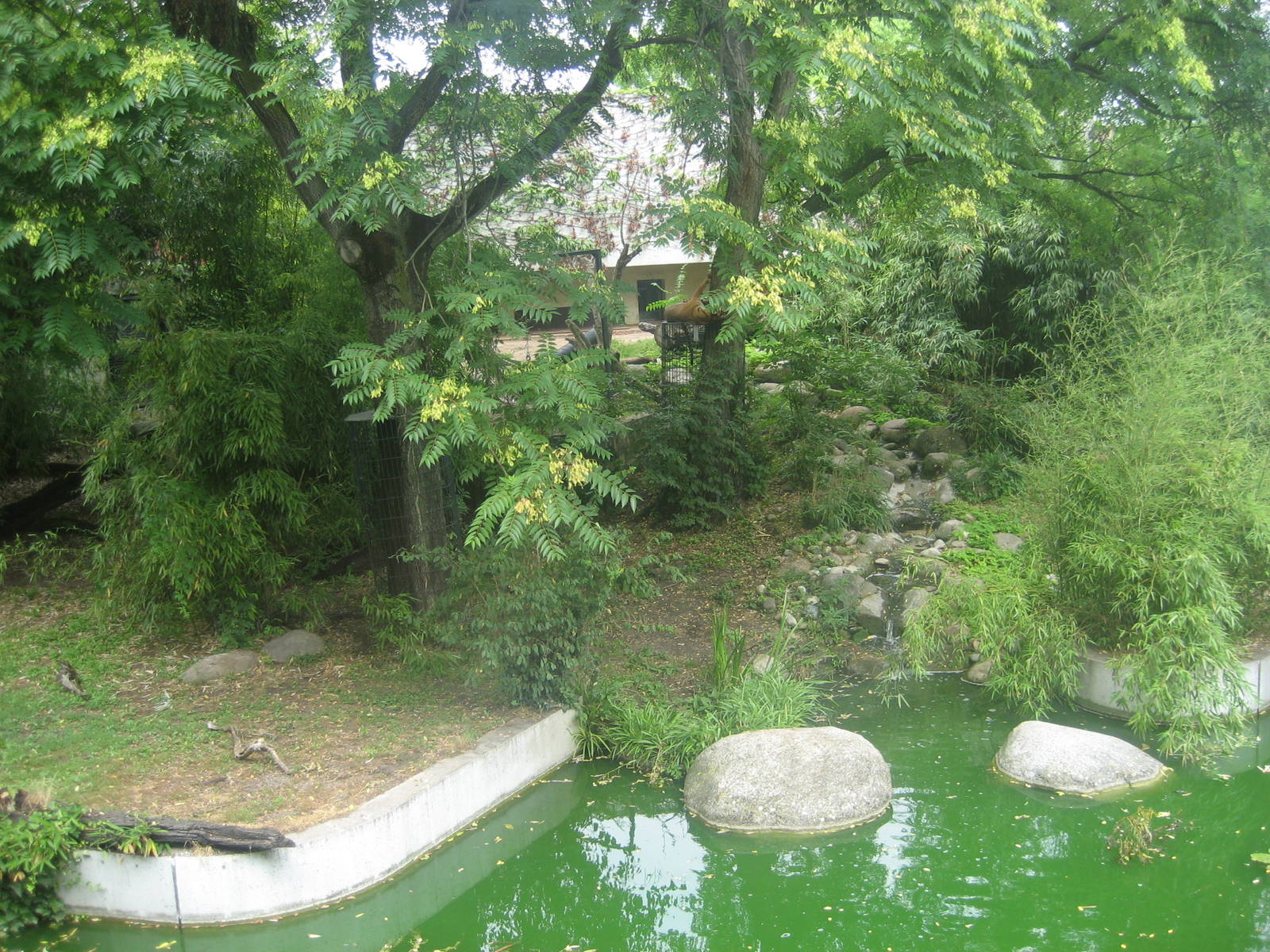 Wilhelma Zoo - Tiger exhibit