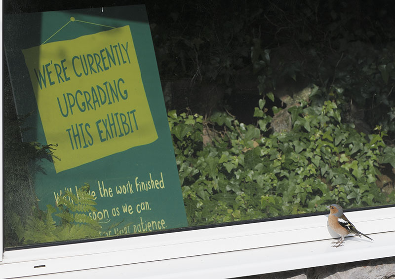 Will it be ready for the nesting season?