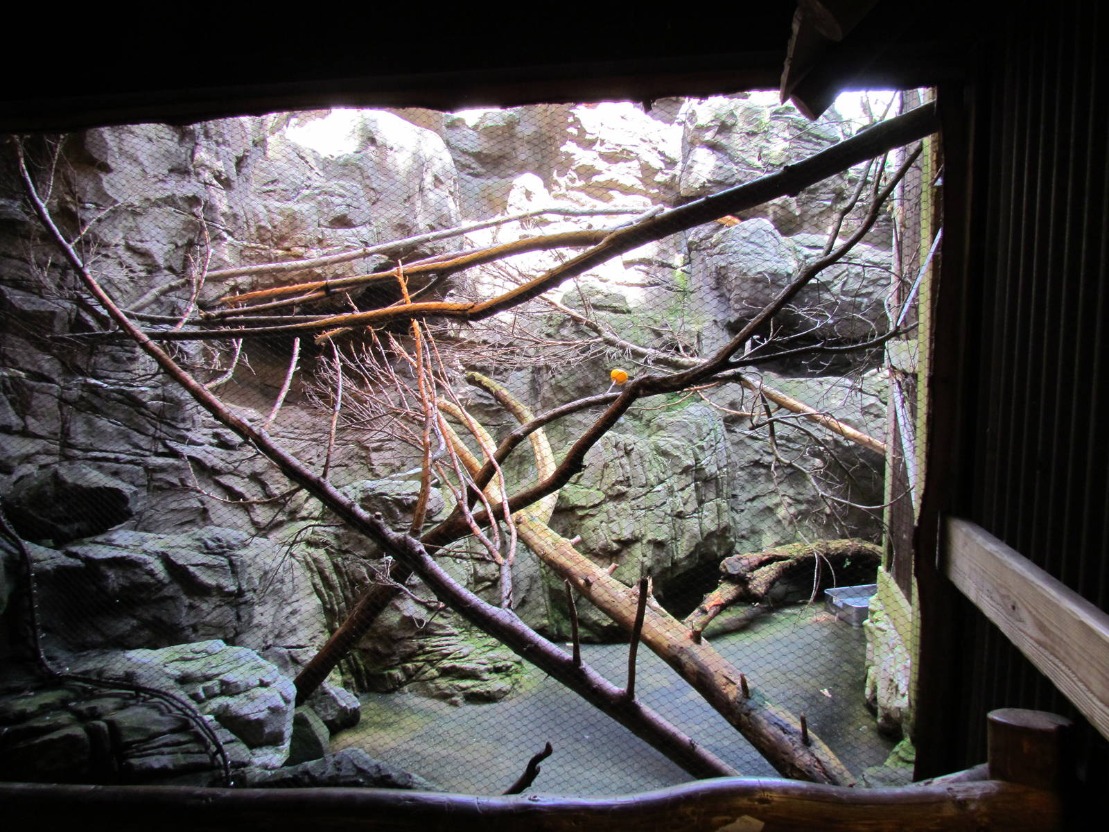 Willawong Station - Kea Exhibit