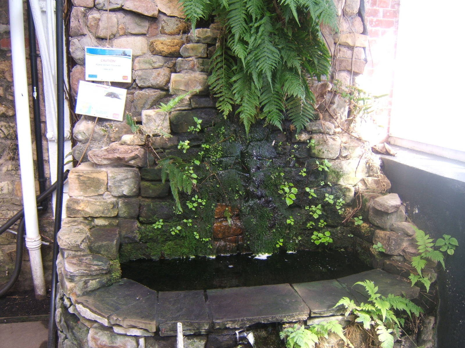 Williamson Park Butterfly House