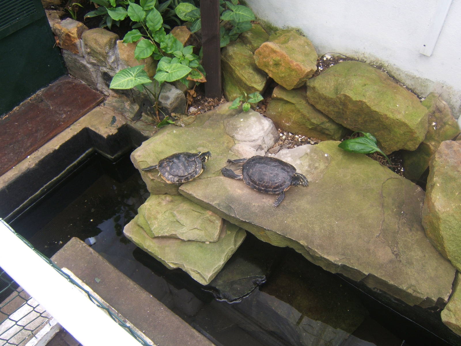 Williamson Park Butterfly House