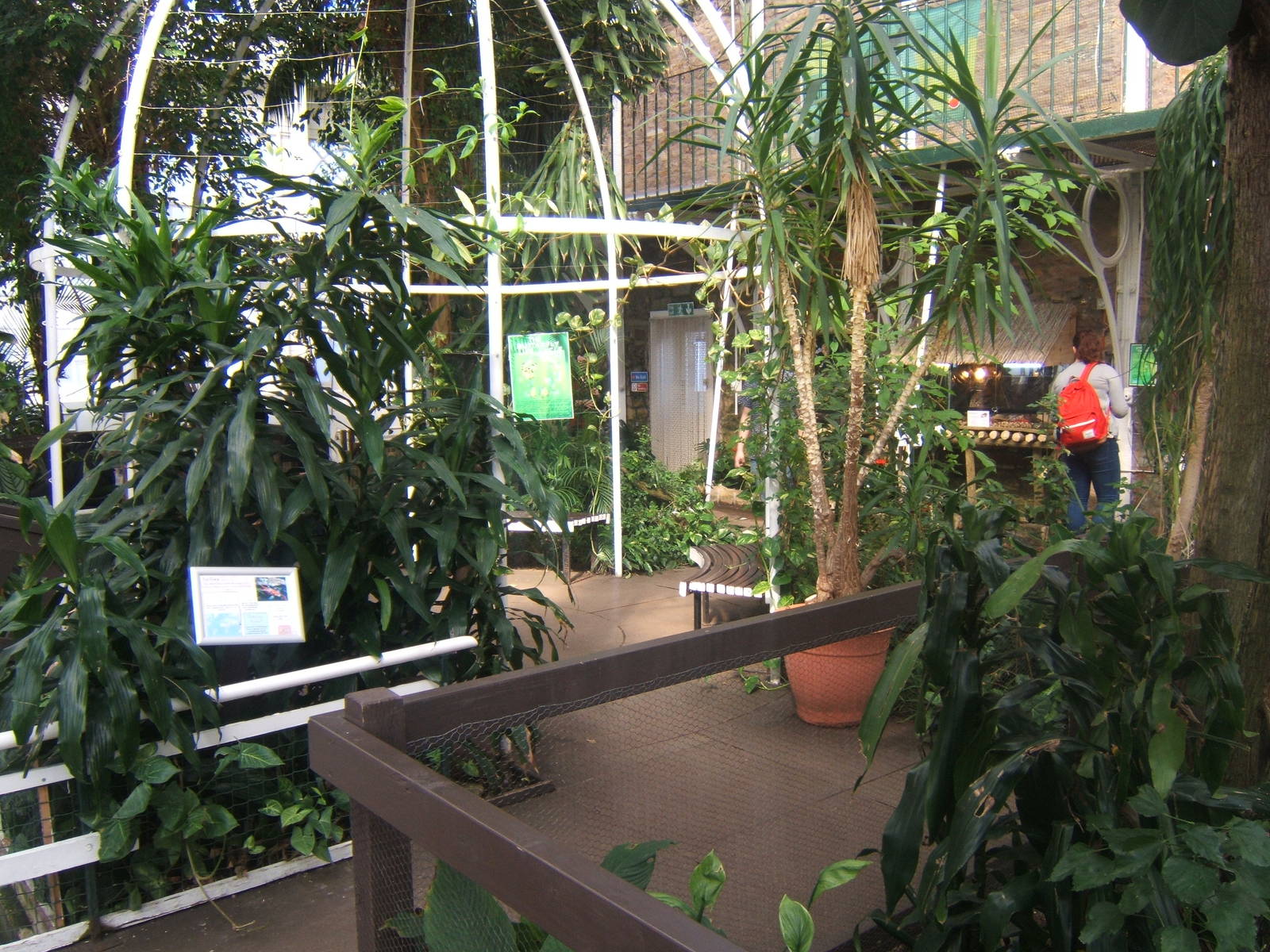 Williamson Park Butterfly House