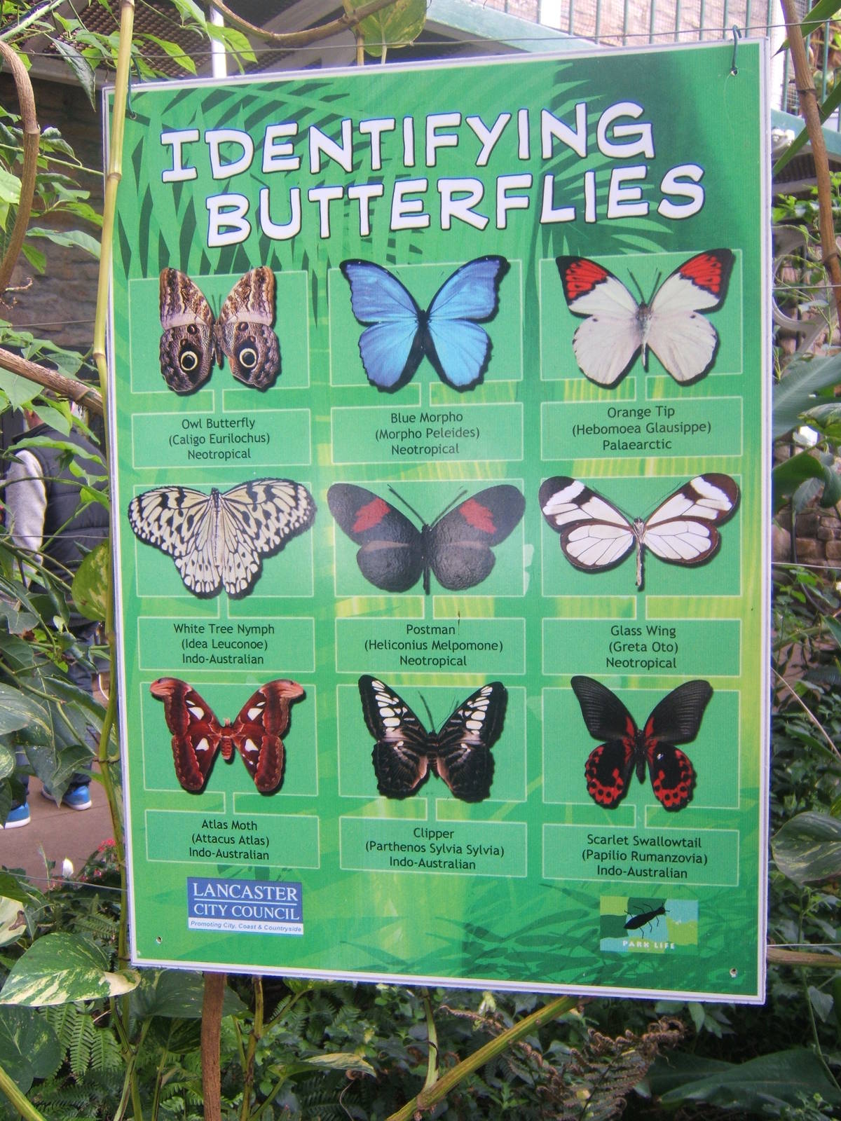 Williamson Park Butterfly House