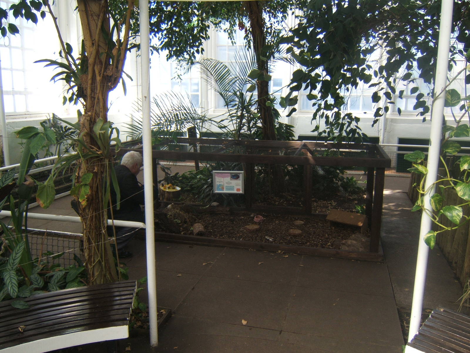 Williamson Park Butterfly House