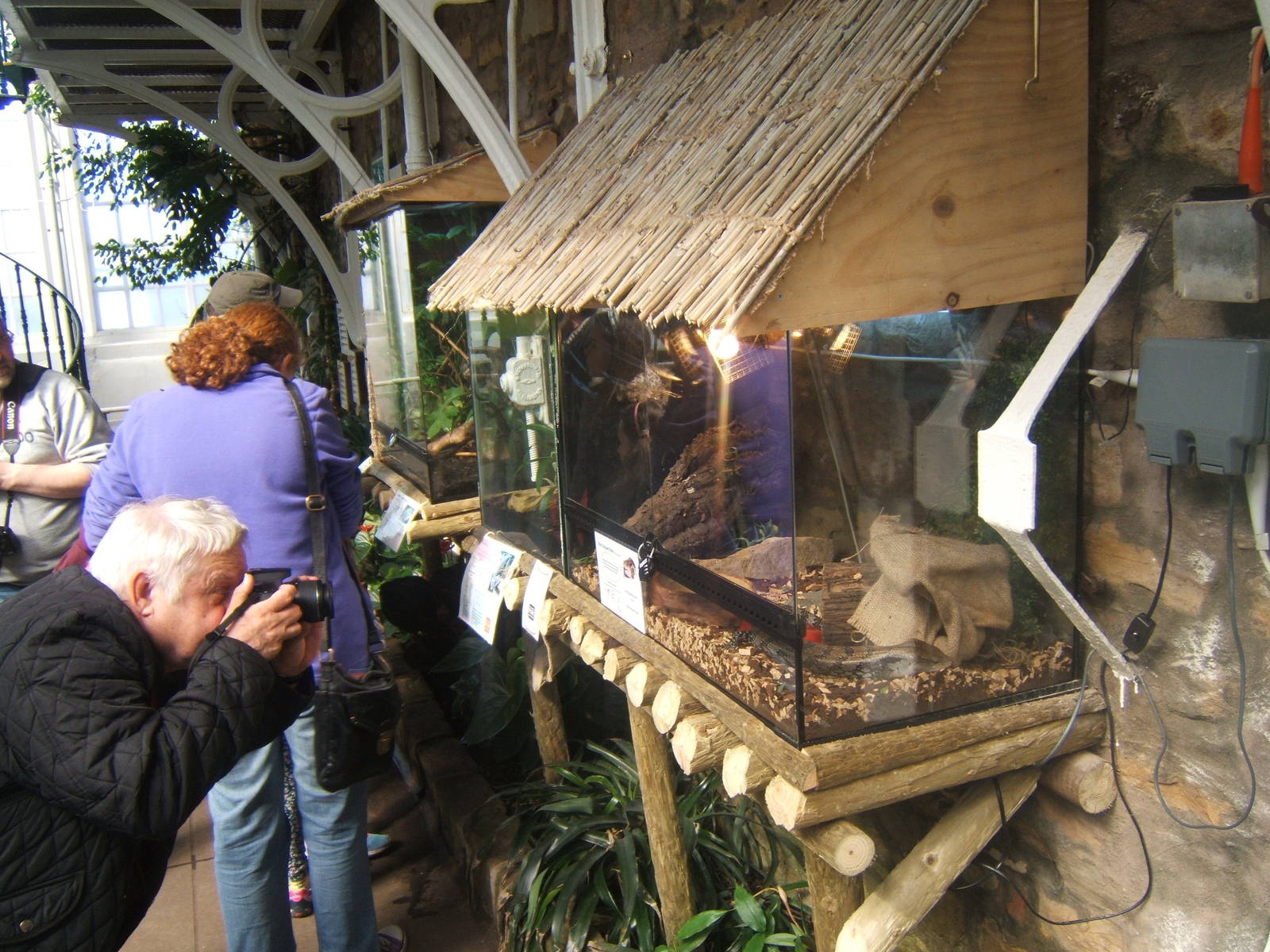 Williamson Park Butterfly House