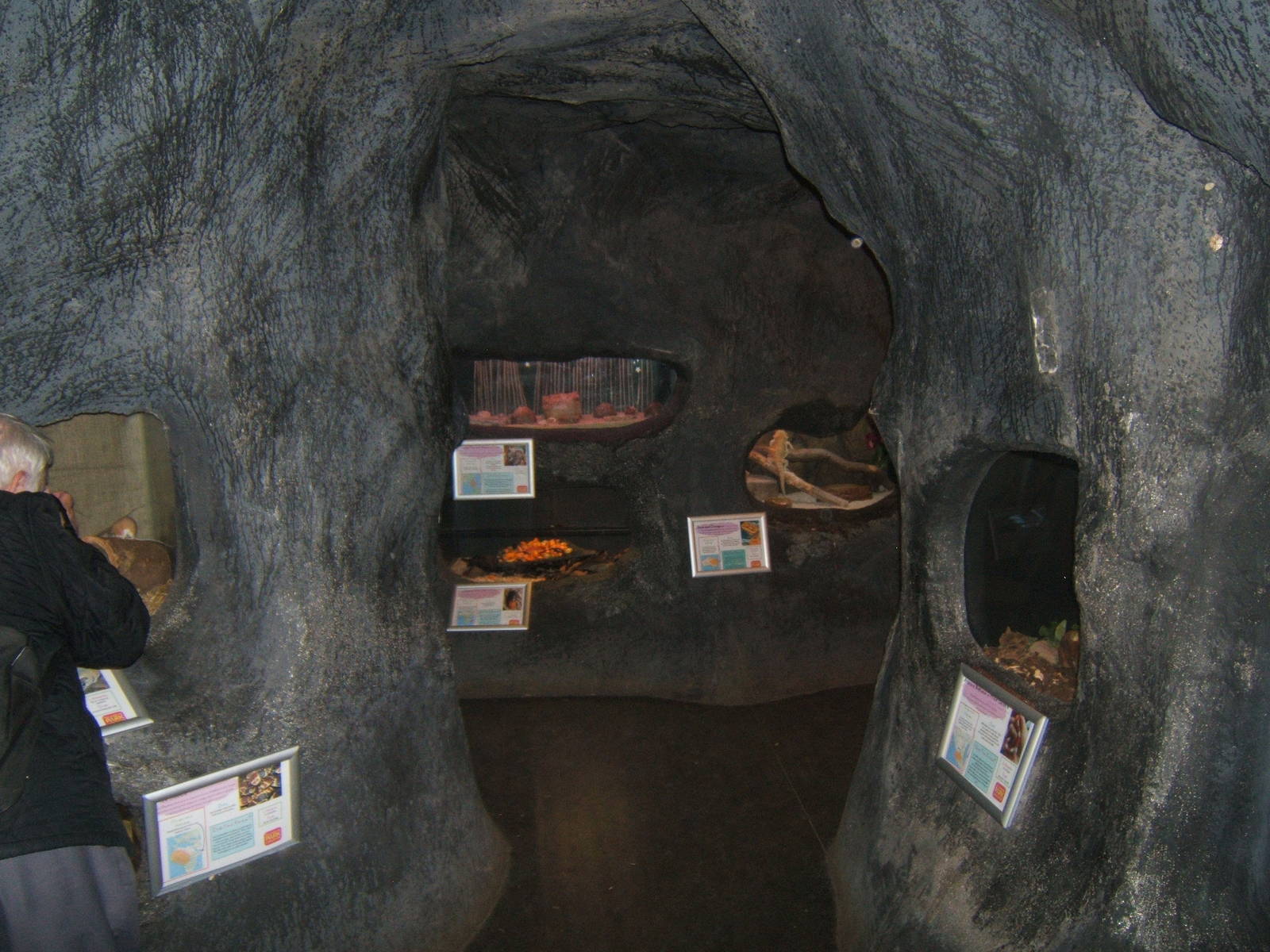 Williamson Park Butterfly House