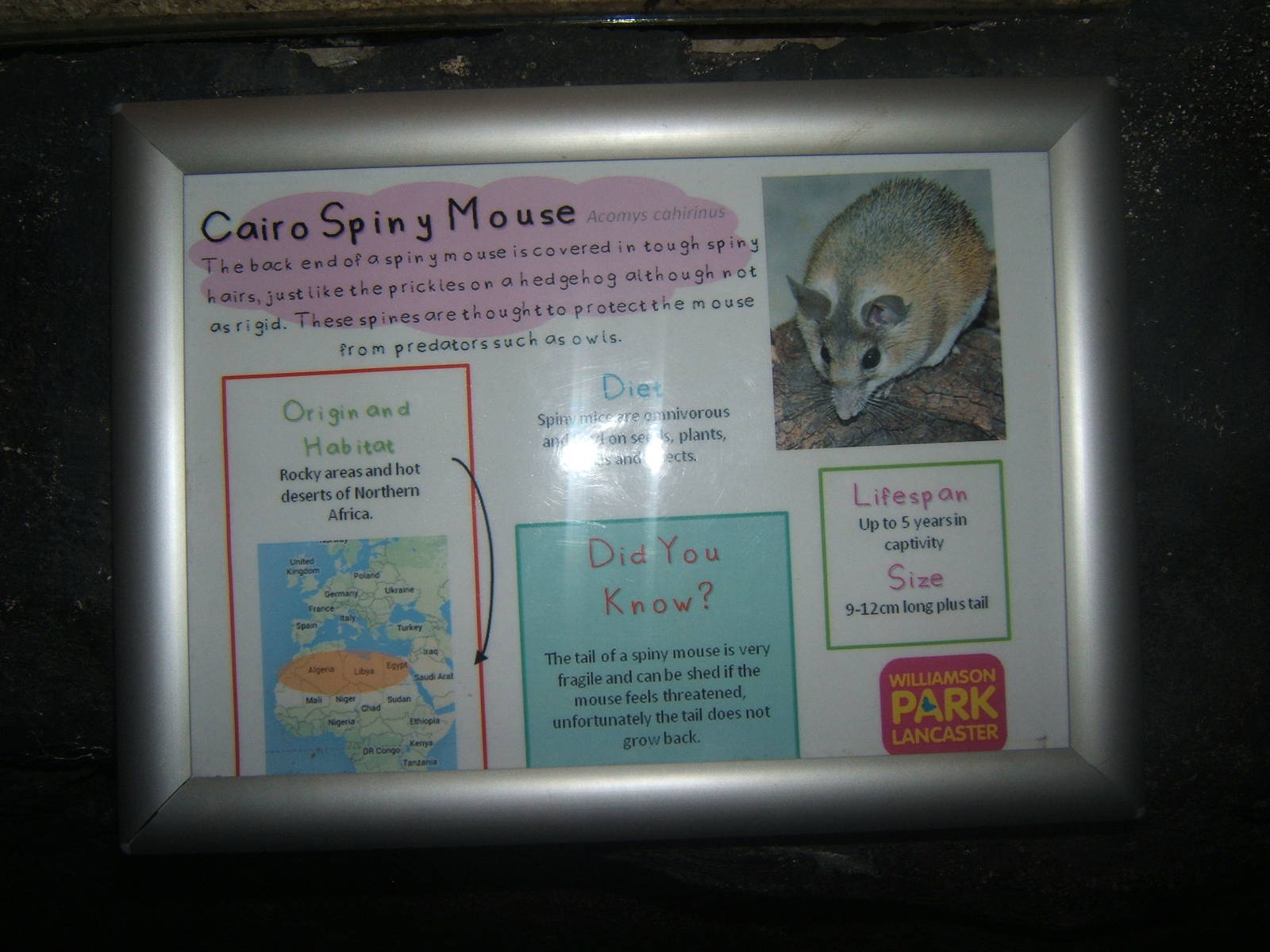 Williamson Park Butterfly House